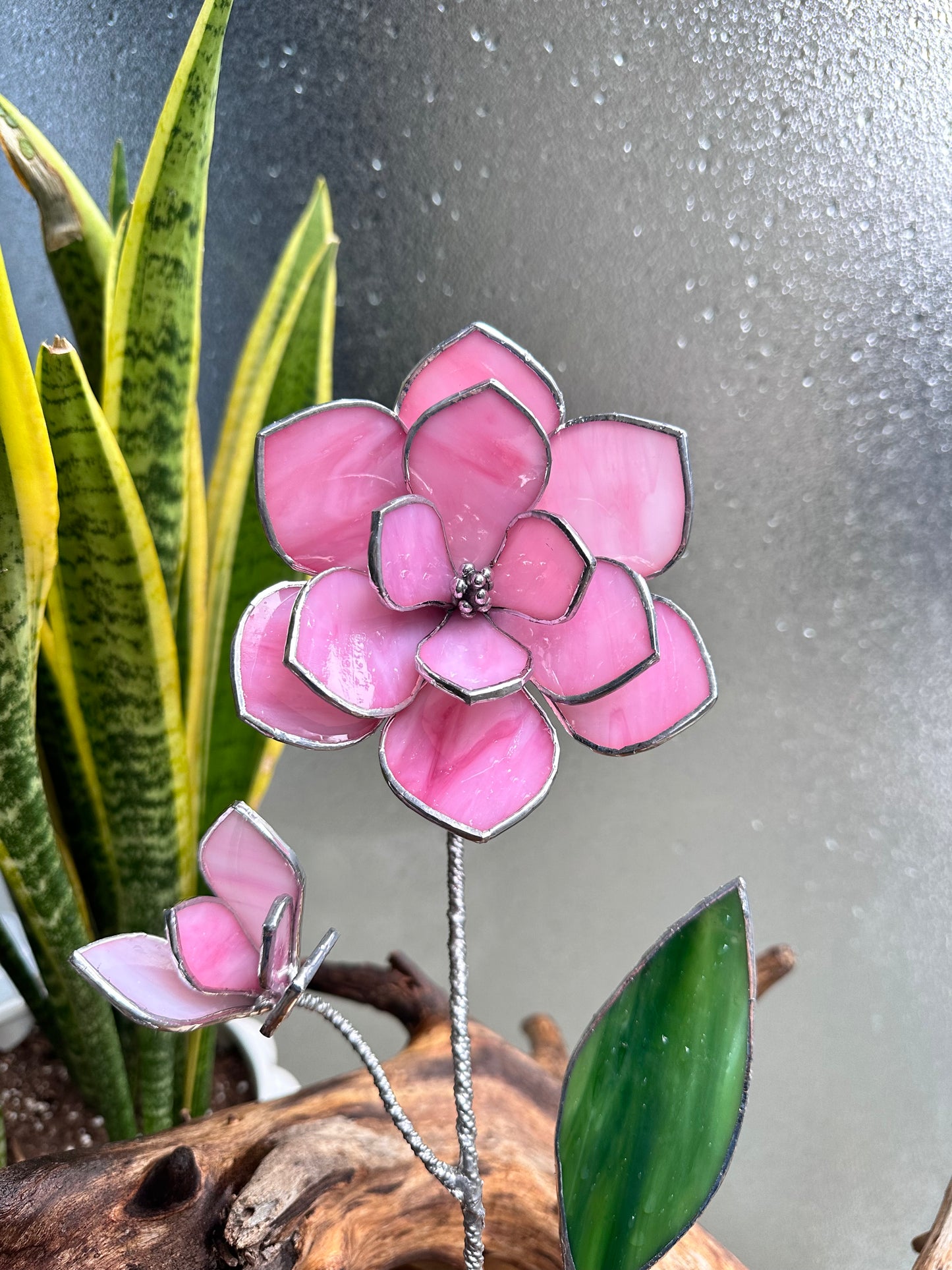 " . Pink Magnolia with a bud" Stained glass tropical flower Suncatcher Iridescent 3D, Table plant cactus decor, Home Garden stake, Mother’s Day gift, Outdoor and gardening, pot