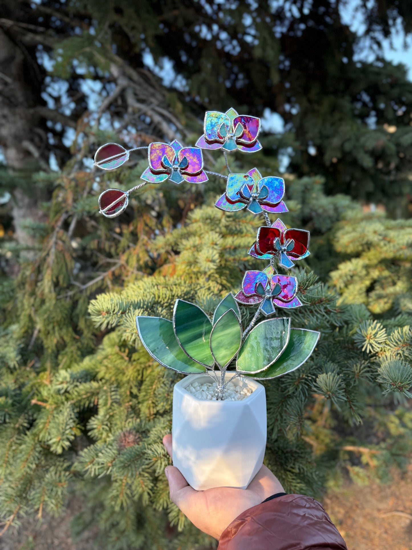 " . Red transparent iridescent Orchid 5 flowers with pot" Stained glass tropical flower 3D, Sun catcher, Table plant, Garden stick, wedding decor, Christmas gift