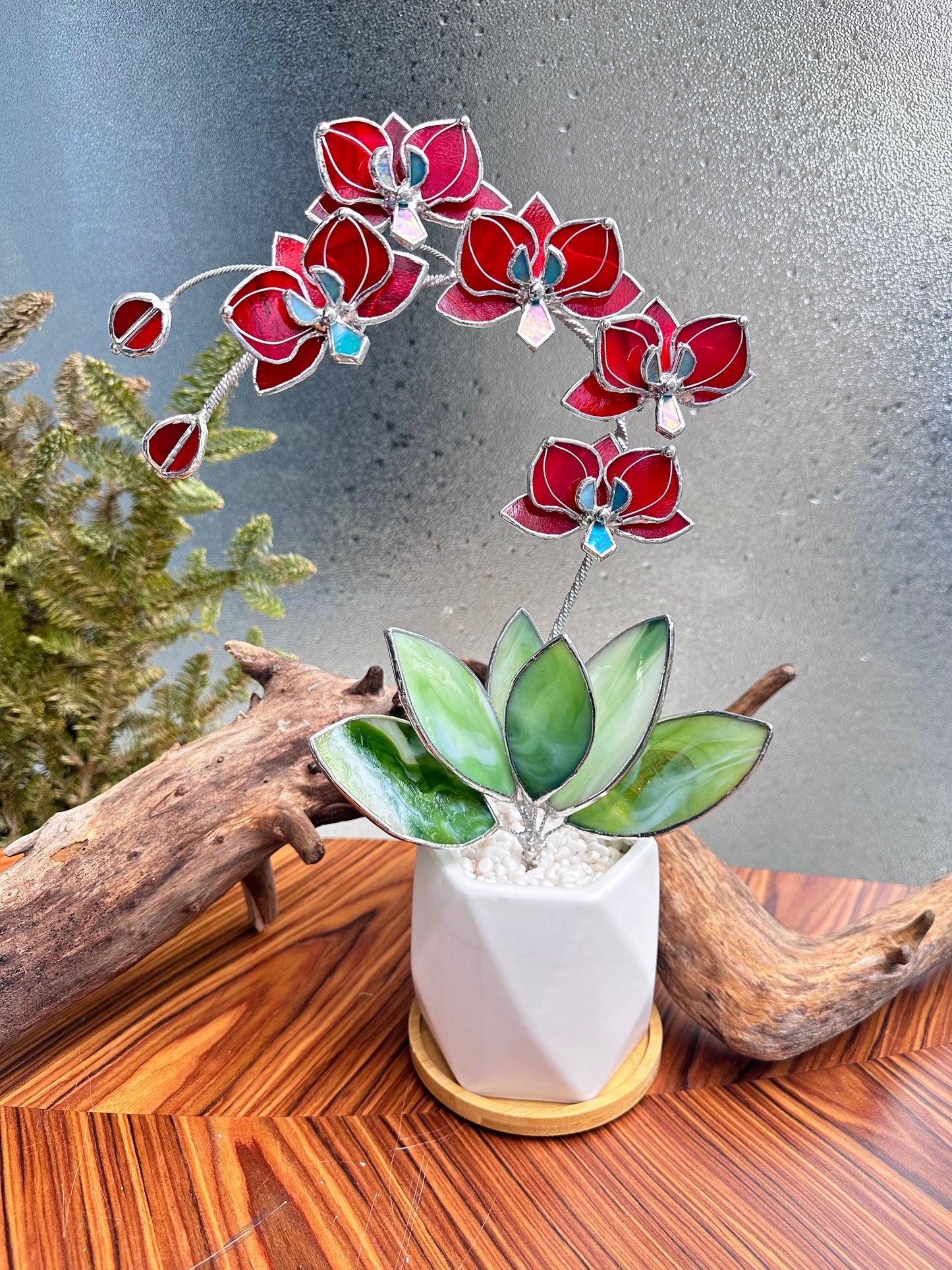 ". Stained glass Orchid Ruby Red with pot, 5 flowers, Suncatcher 3D, plant, Wedding Christmas Gift Outdoor and gardening decor
