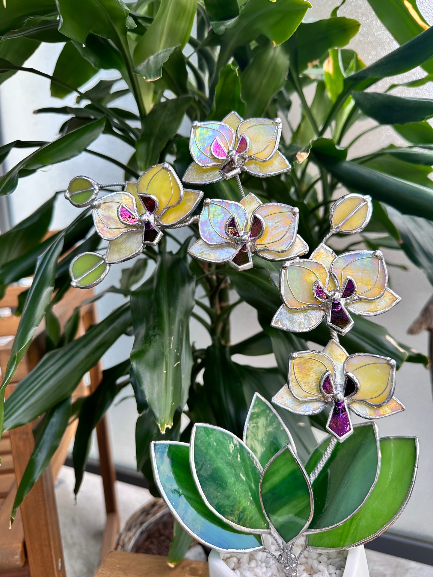 " . Lemon Yellow iridescent Orchid 5 flowers with pot" Stained glass tropical flower 3D, Sun catcher, Table plant, Garden stick, wedding decor, Christmas gift