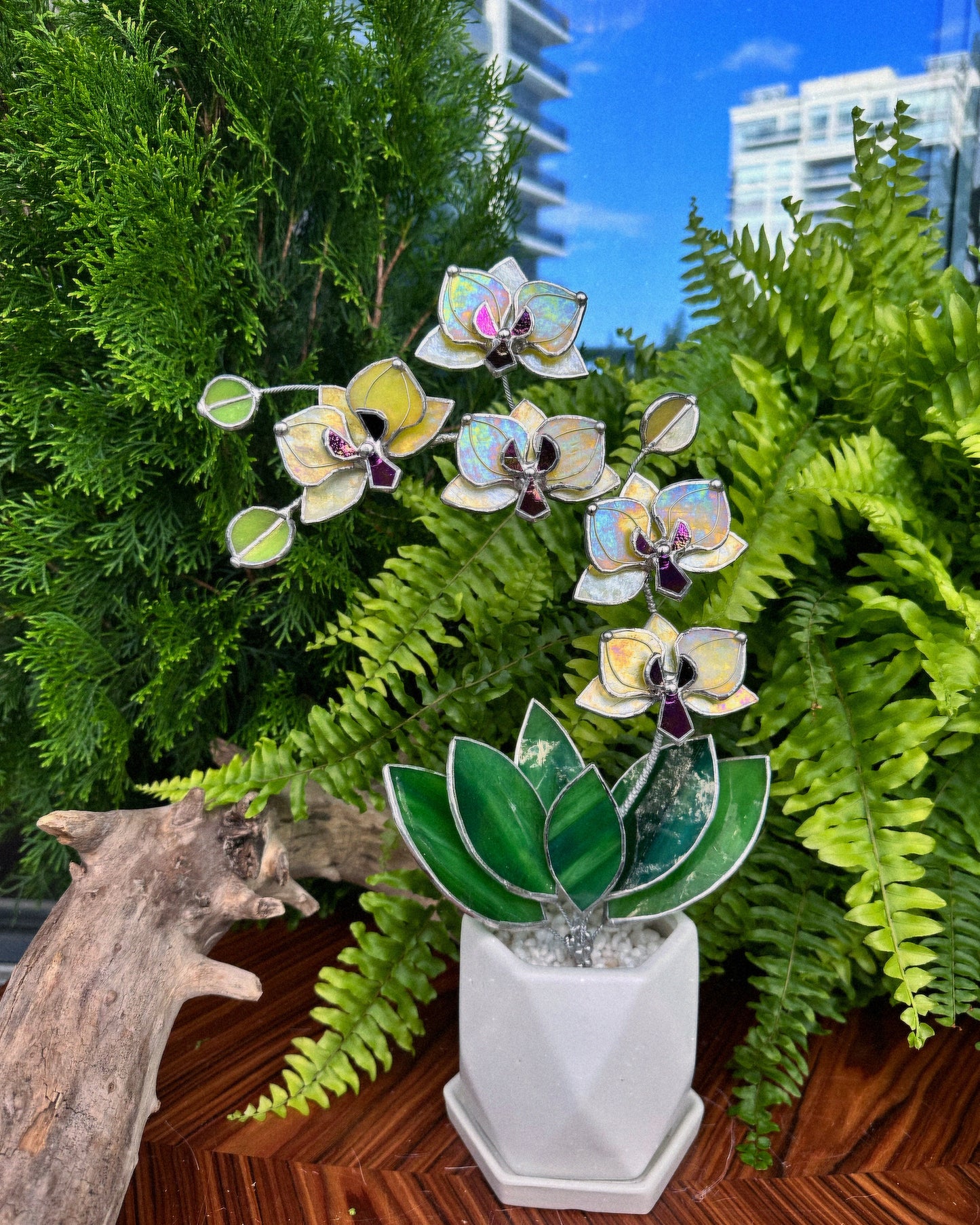 " . Lemon Yellow iridescent Orchid 5 flowers with pot" Stained glass tropical flower 3D, Sun catcher, Table plant, Garden stick, wedding decor, Christmas gift