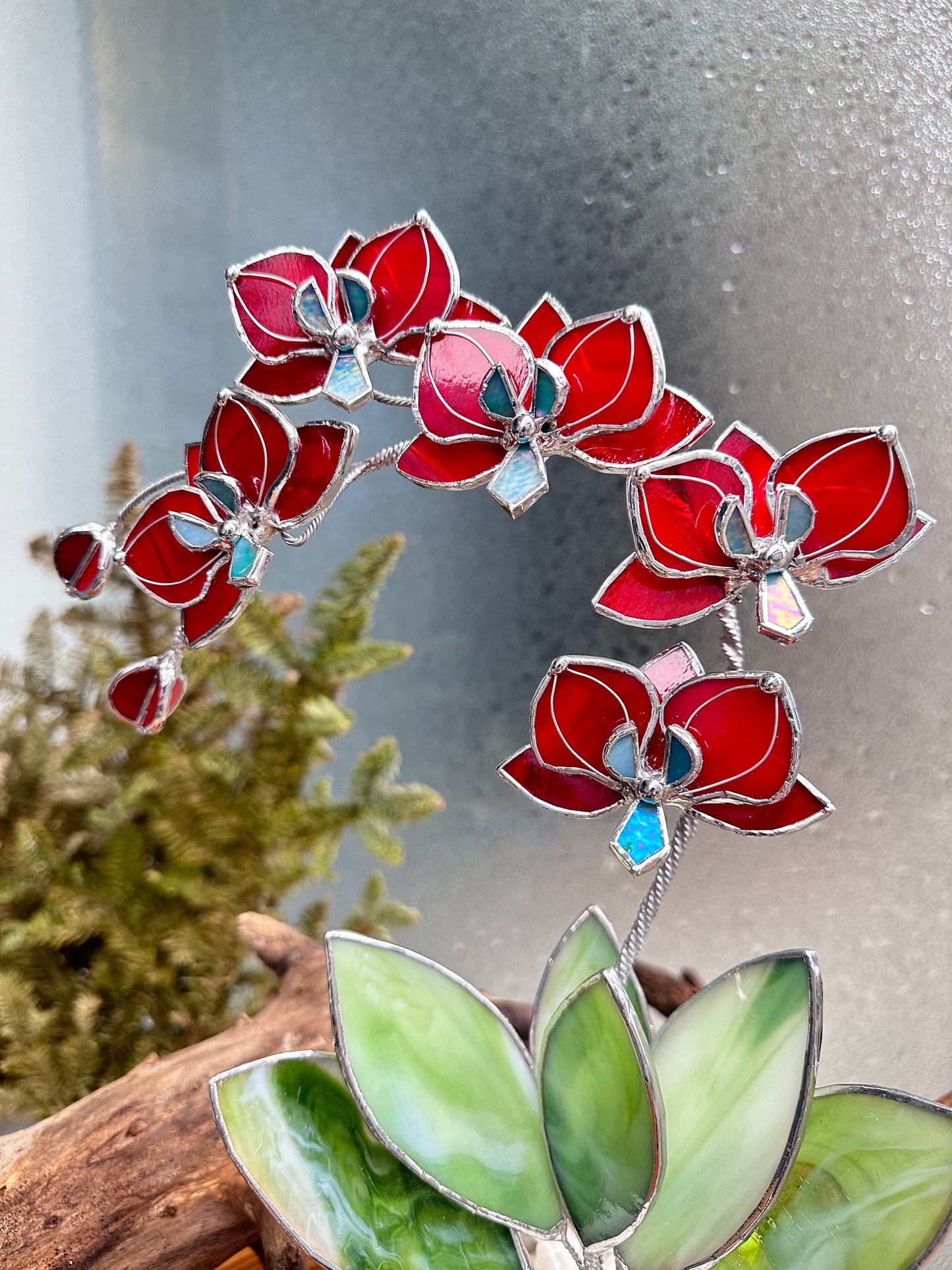 ". Stained glass Orchid Ruby Red with pot, 5 flowers, Suncatcher 3D, plant, Wedding Christmas Gift Outdoor and gardening decor
