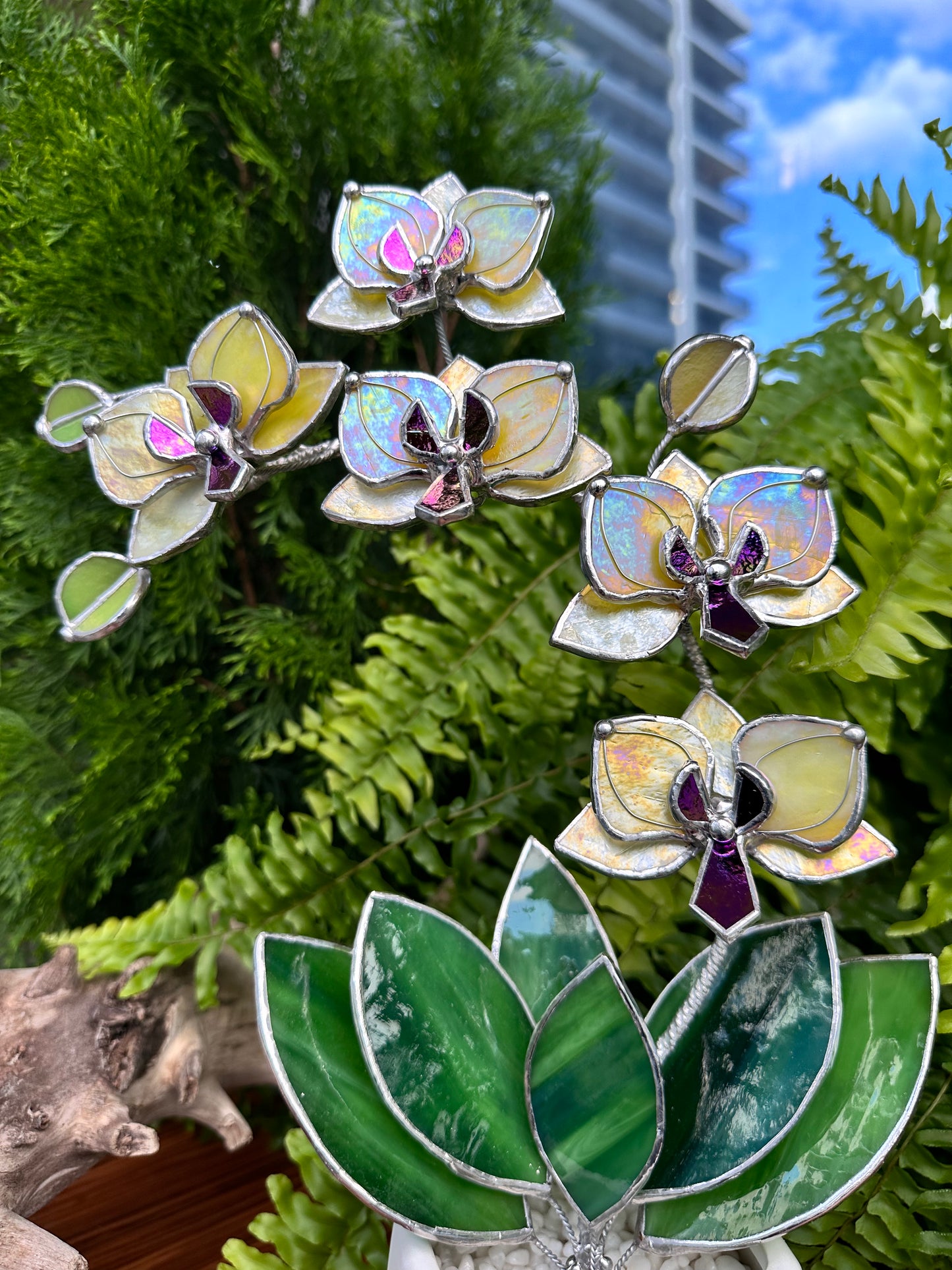 " . Lemon Yellow iridescent Orchid 5 flowers with pot" Stained glass tropical flower 3D, Sun catcher, Table plant, Garden stick, wedding decor, Christmas gift