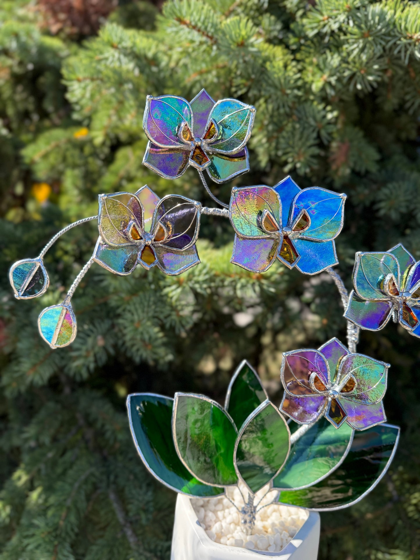 " . Butterfly Orchid Purple transparent iridescent, 5 flowers with pot”, Stained glass tropical flower 3D, Suncatcher, Table plant