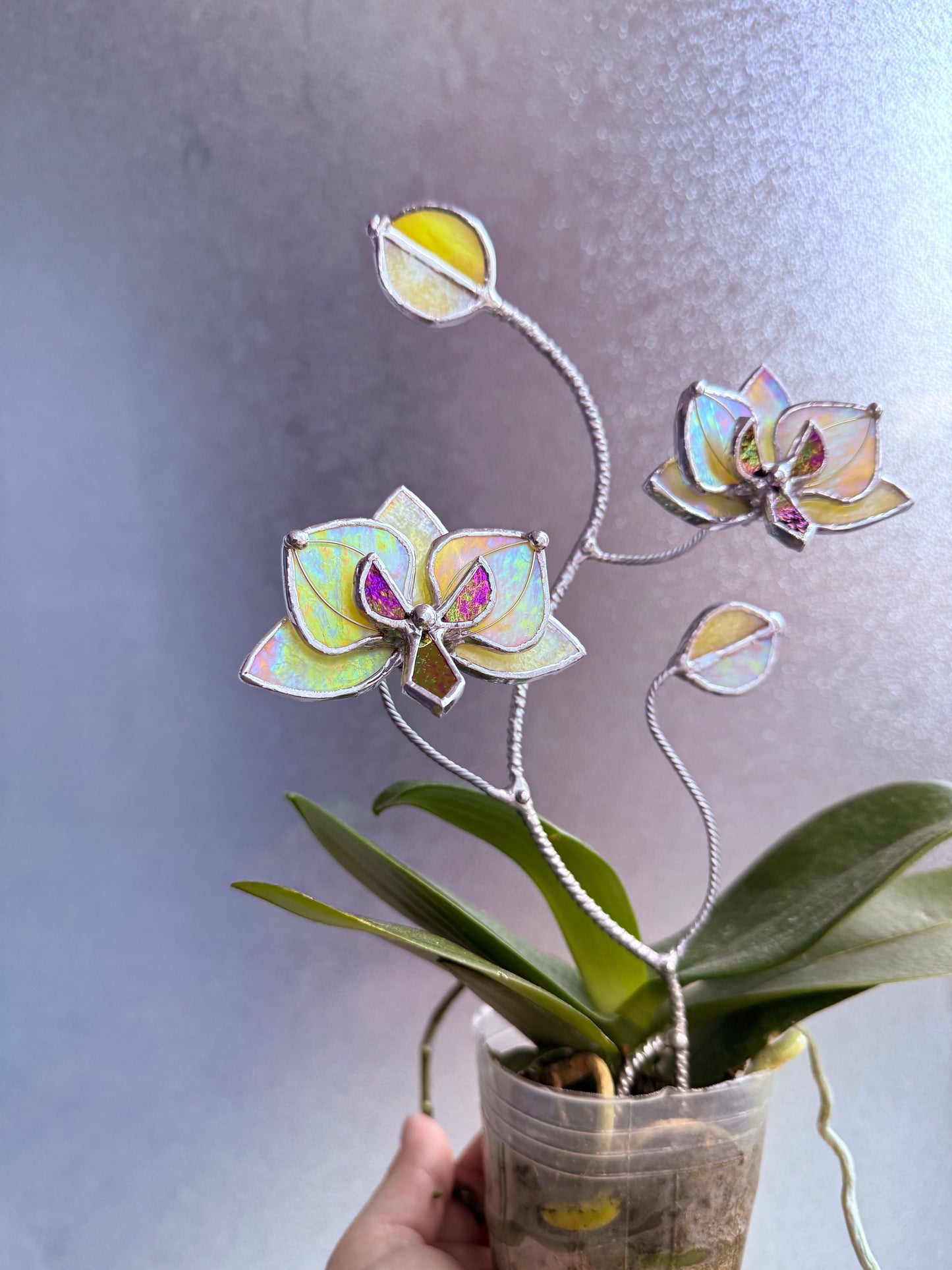 " . Lemon yellow irid Orchid flower stick, Plant stake 2 flowers no pot” Stained glass tropical flower 3D, Sun catcher, Table plant, Garden stick, Outdoor and gardening decor (Copy)