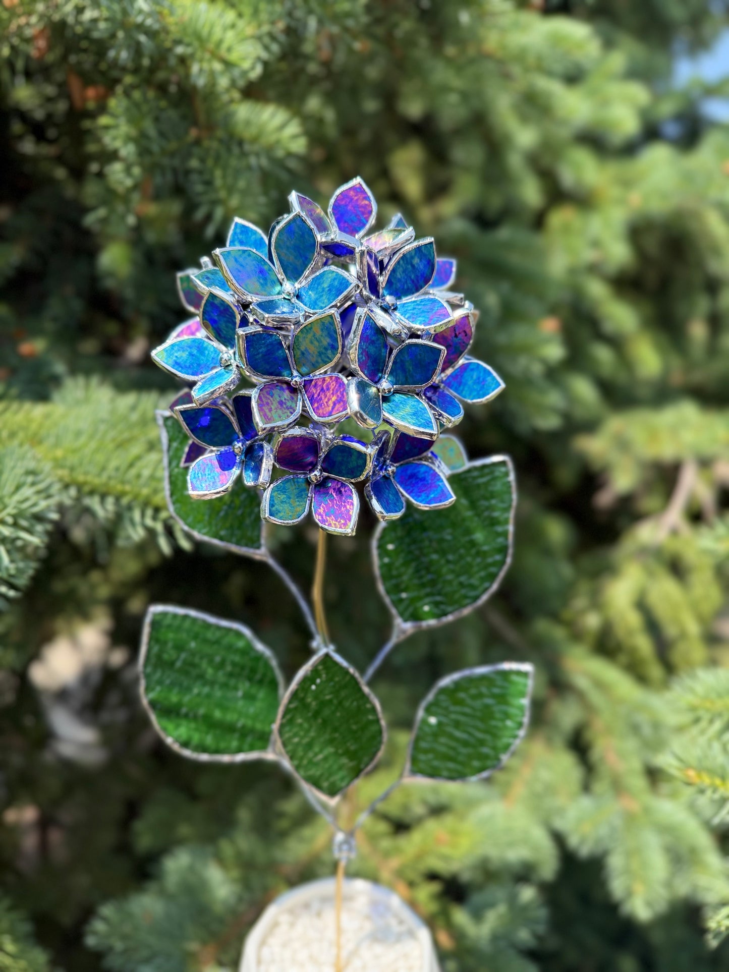 " . Beautiful Hydrangea Indigo iridescent bunch in the pot”, Stained glass tropical flower