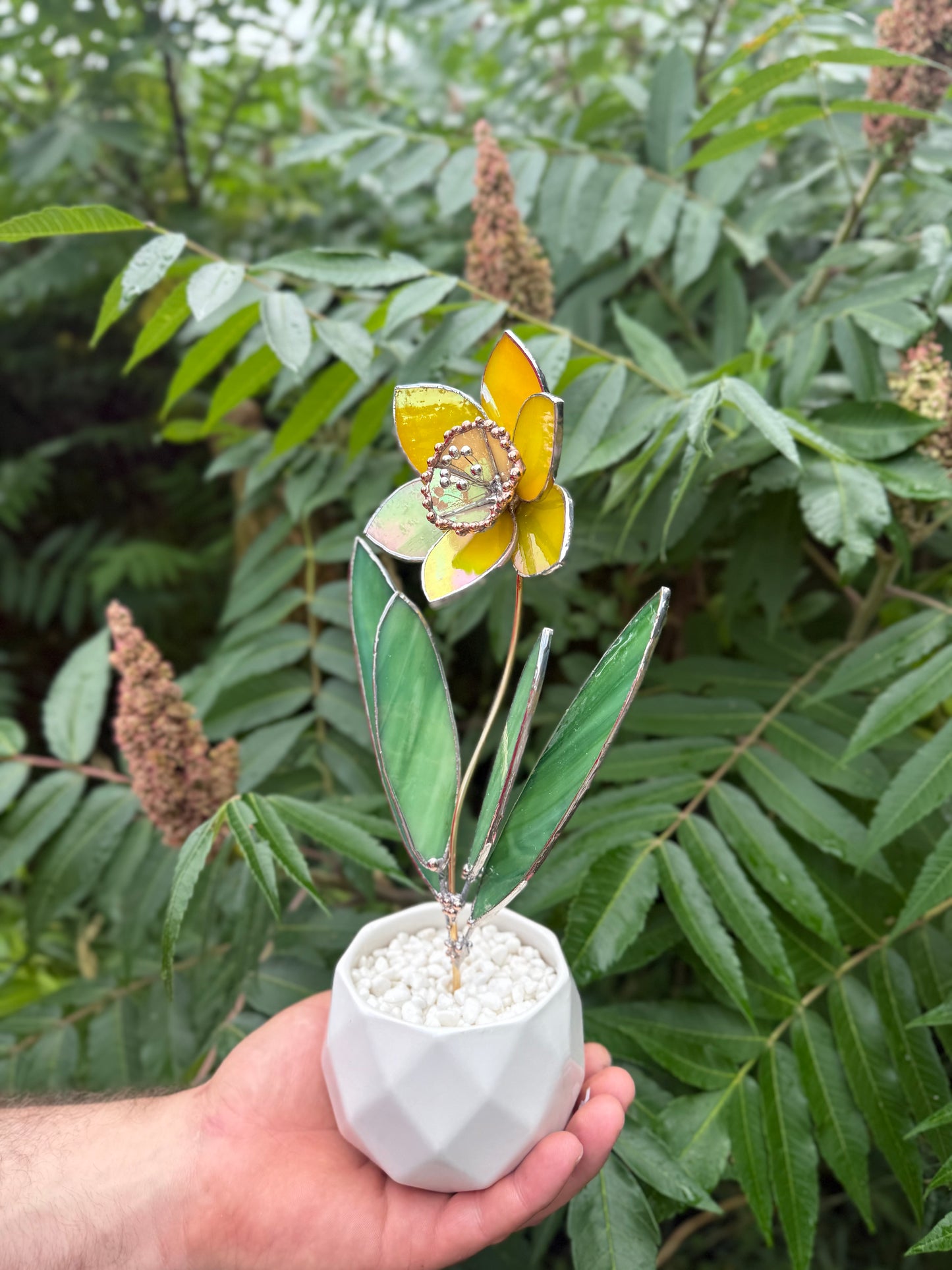 .Lemon Yellow Lumi Daffodil Flower Stained glass tropical flower new