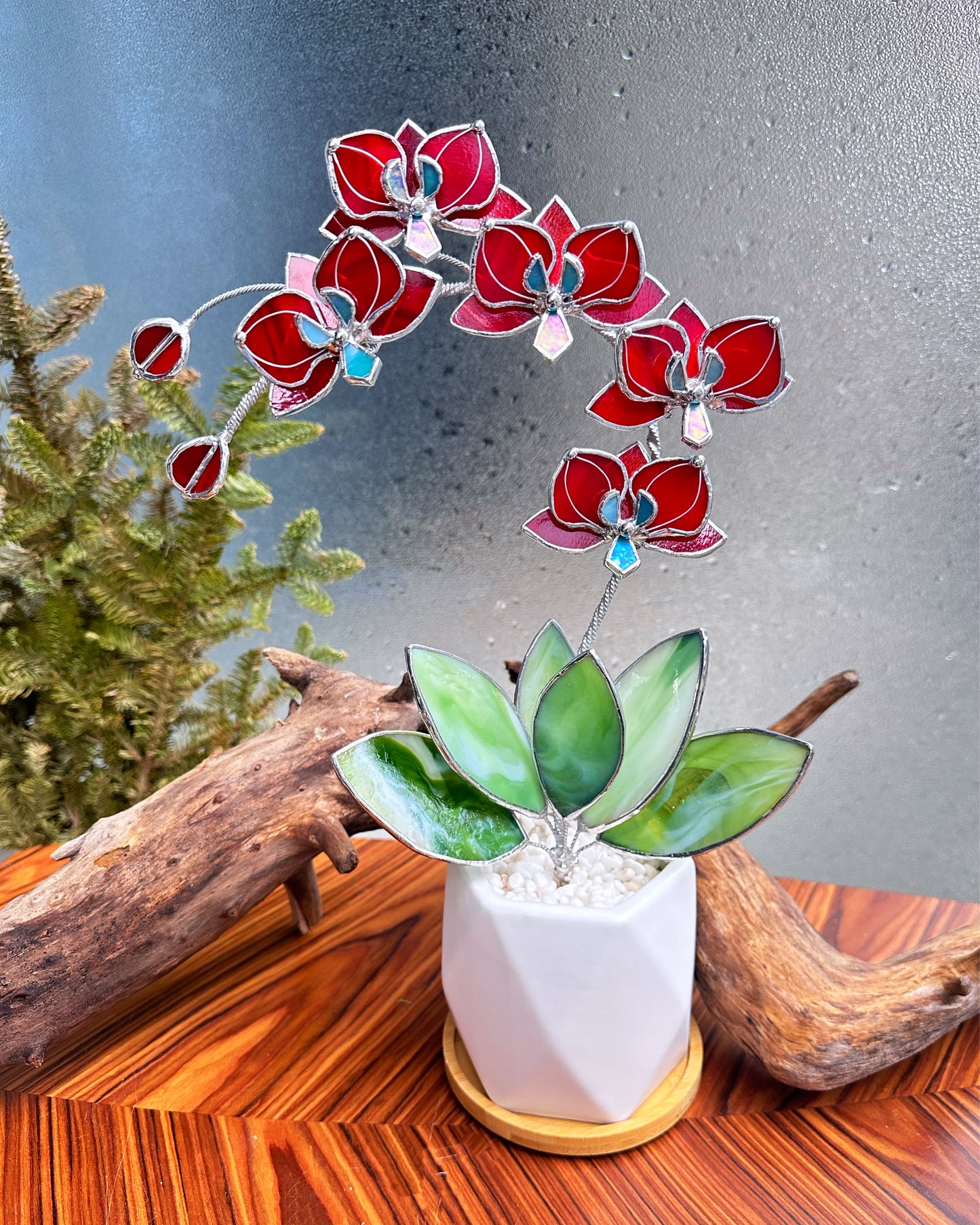 ". Stained glass Orchid Ruby Red with pot, 5 flowers, Suncatcher 3D, plant, Wedding Christmas Gift Outdoor and gardening decor