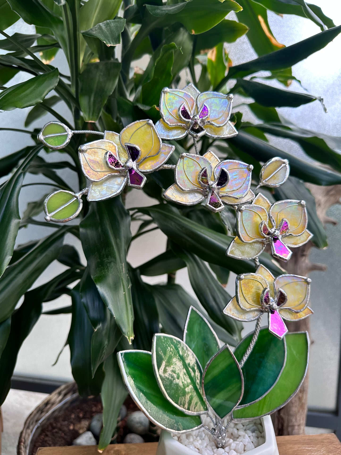 " . Lemon Yellow iridescent Orchid 5 flowers with pot" Stained glass tropical flower 3D, Sun catcher, Table plant, Garden stick, wedding decor, Christmas gift