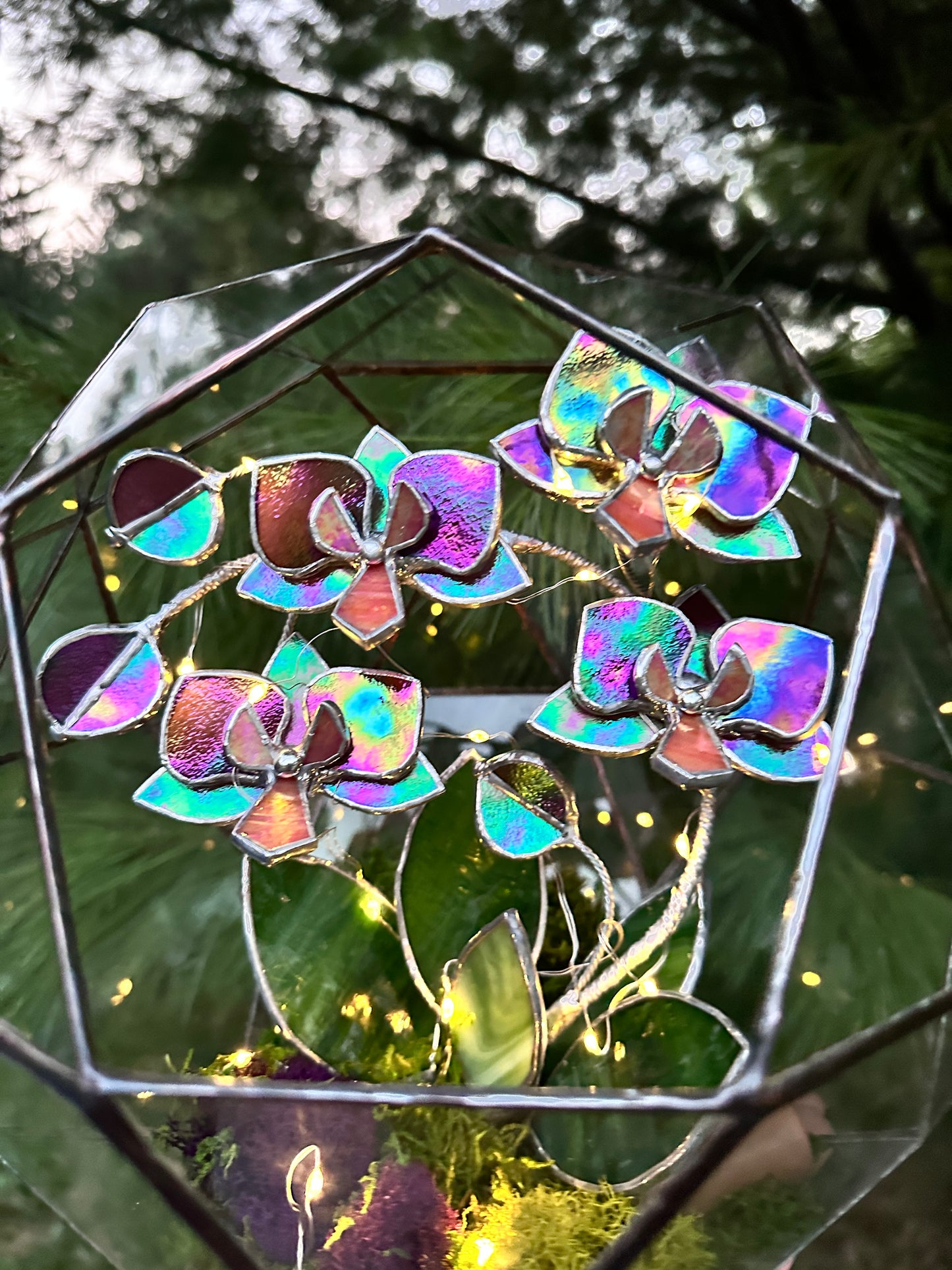 " . Geometric glass 3D terrarium Sphere with stained glass iridescent orchid. Wedding glass decor, Mother’s Day gift, glass art, suncatcher, succulents, cacti