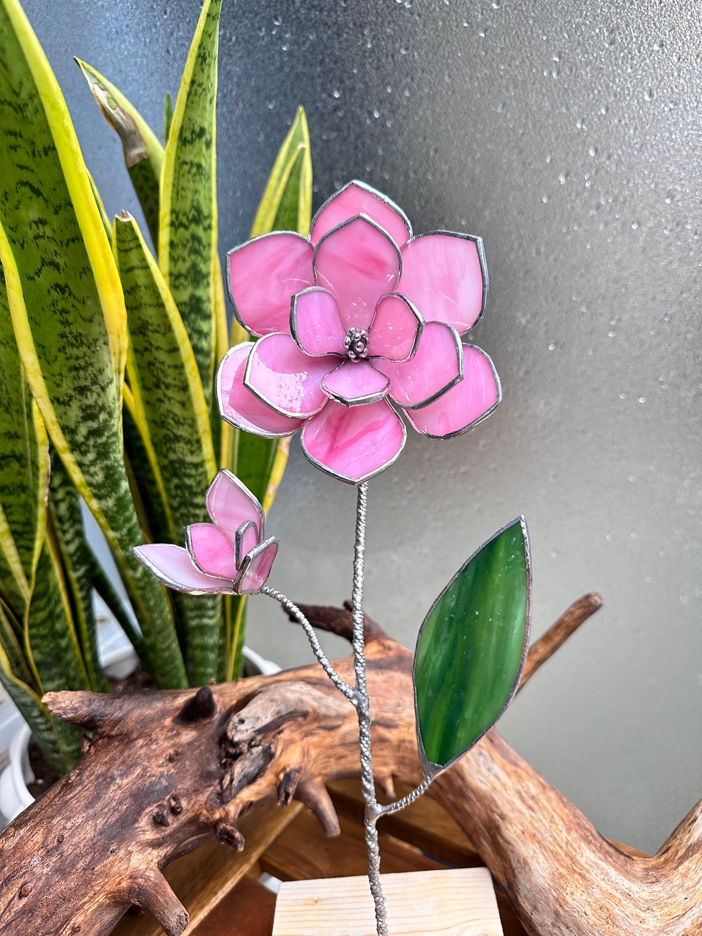 " . Pink Magnolia with a bud" Stained glass tropical flower Suncatcher Iridescent 3D, Table plant cactus decor, Home Garden stake, Mother’s Day gift, Outdoor and gardening, pot