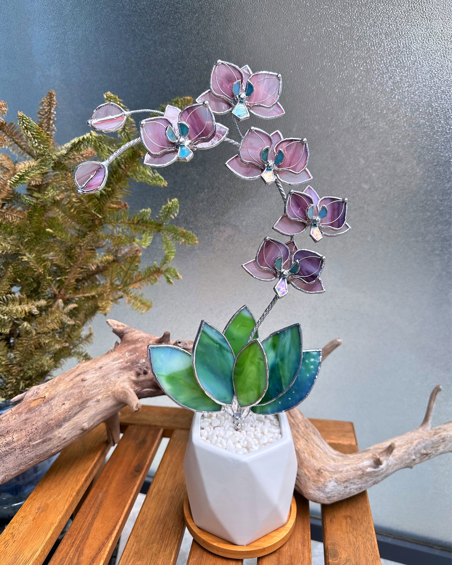 " . Dusty Rose translucent Orchid 5 flowers with pot" Stained glass tropical flower 3D, Sun catcher, Table plant, Garden stick, wedding decor, Christmas gift