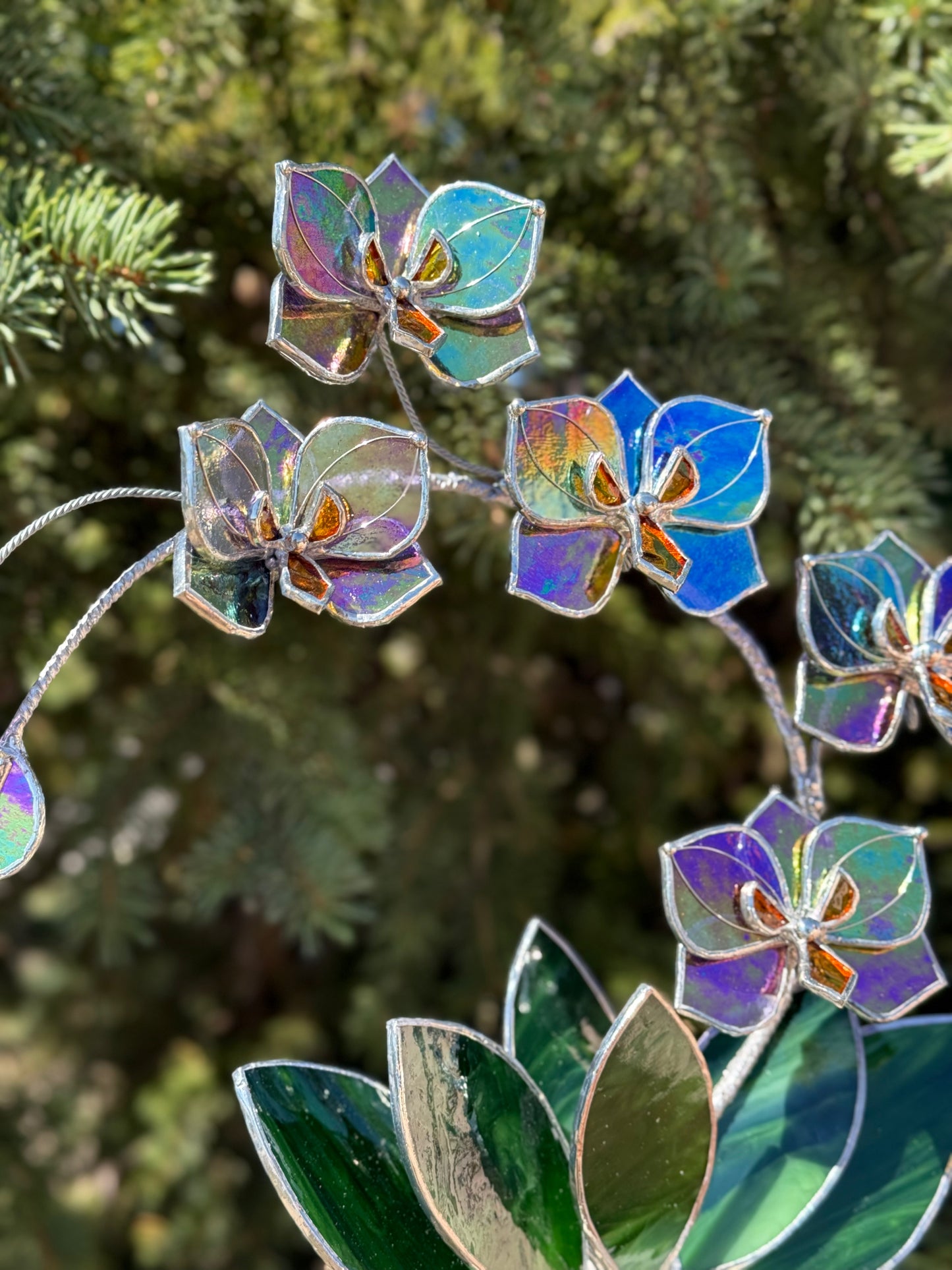 " . Butterfly Orchid Purple transparent iridescent, 5 flowers with pot”, Stained glass tropical flower 3D, Suncatcher, Table plant
