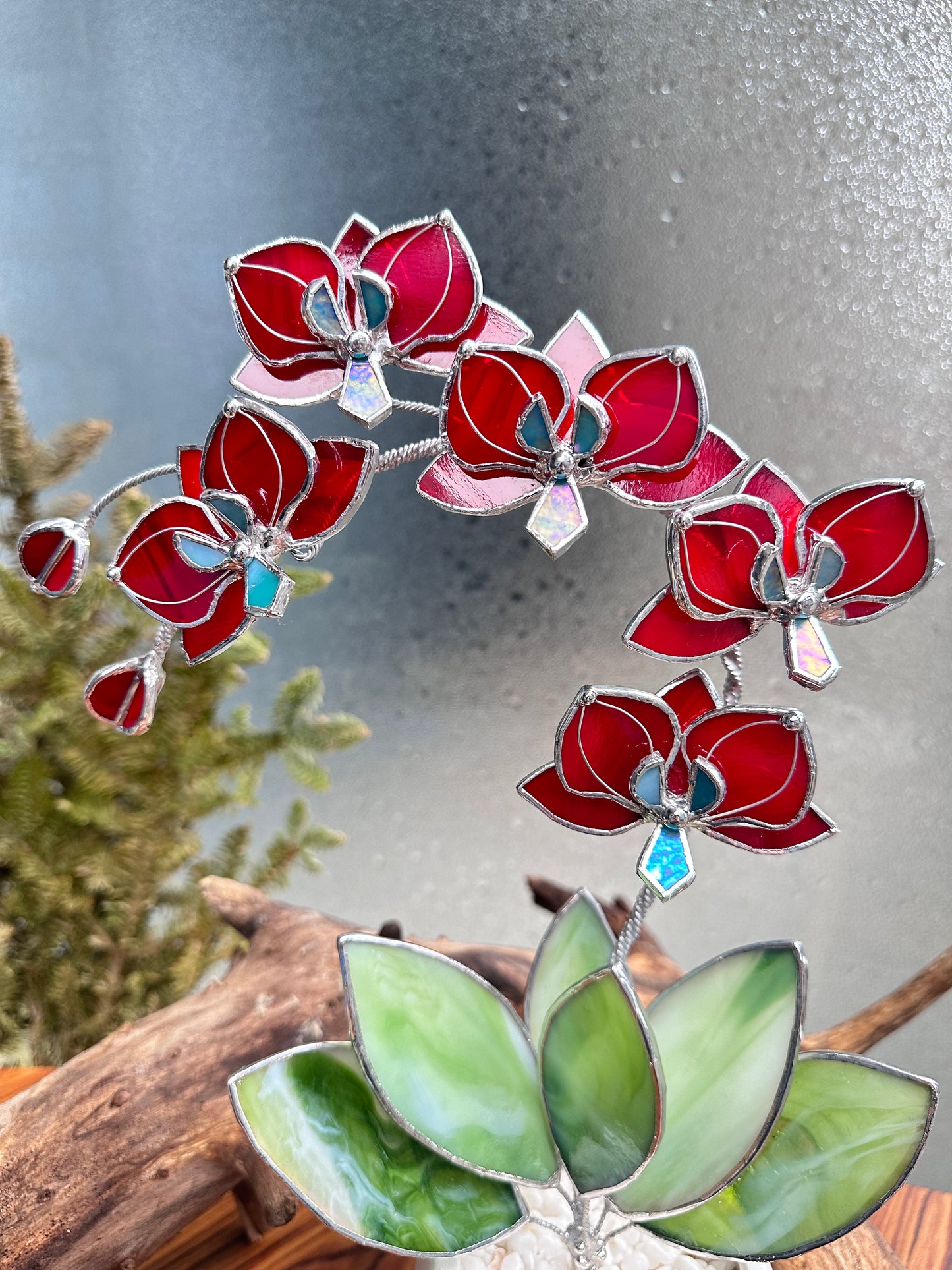 ". Stained glass Orchid Ruby Red with pot, 5 flowers, Suncatcher 3D, plant, Wedding Christmas Gift Outdoor and gardening decor