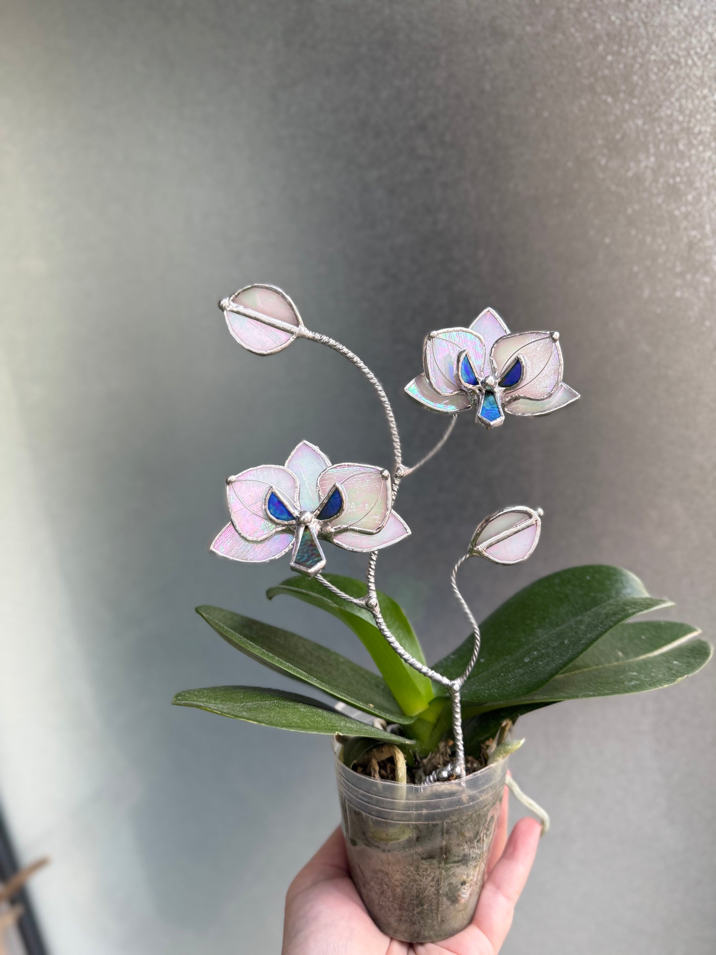 " . Orchid White pearl iridescent flower stick, Plant stake 2 flowers no pot” Stained glass tropical flower 3D, Sun catcher, Table plant, Garden stick, Outdoor and gardening decor
