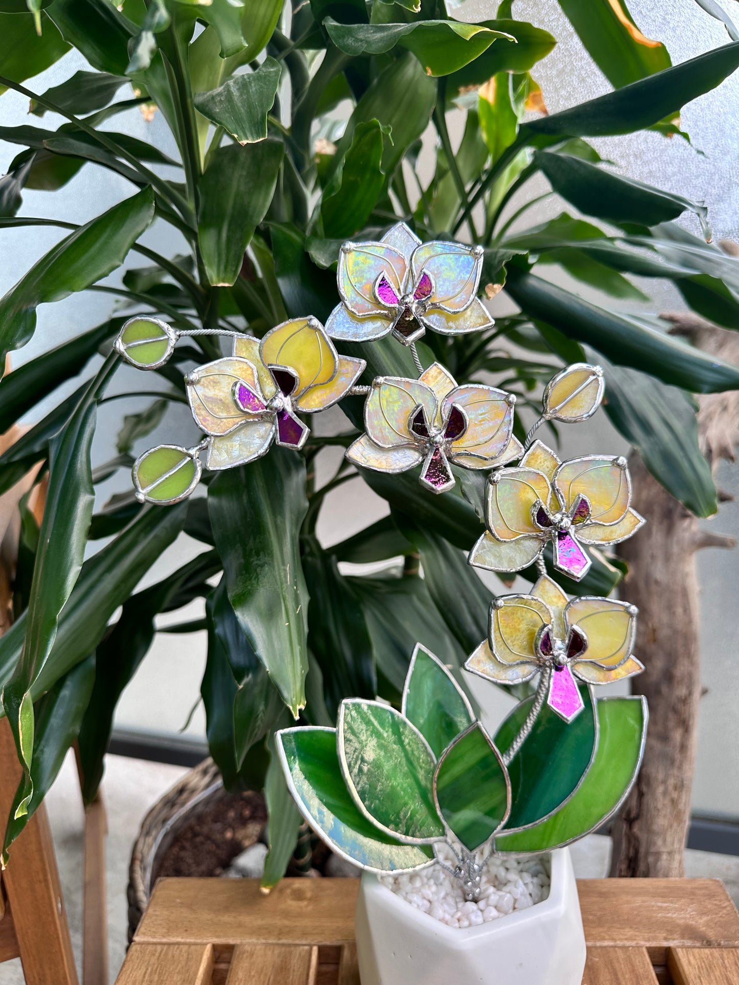 " . Lemon Yellow iridescent Orchid 5 flowers with pot" Stained glass tropical flower 3D, Sun catcher, Table plant, Garden stick, wedding decor, Christmas gift