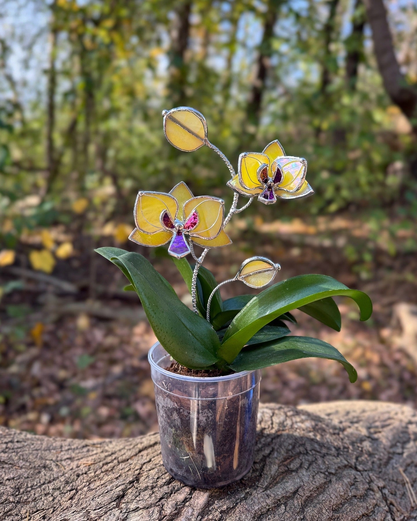 potted plant stakes Orchid Lemon yellow Stained Glass Plant Stake, Botanical Pot Decor