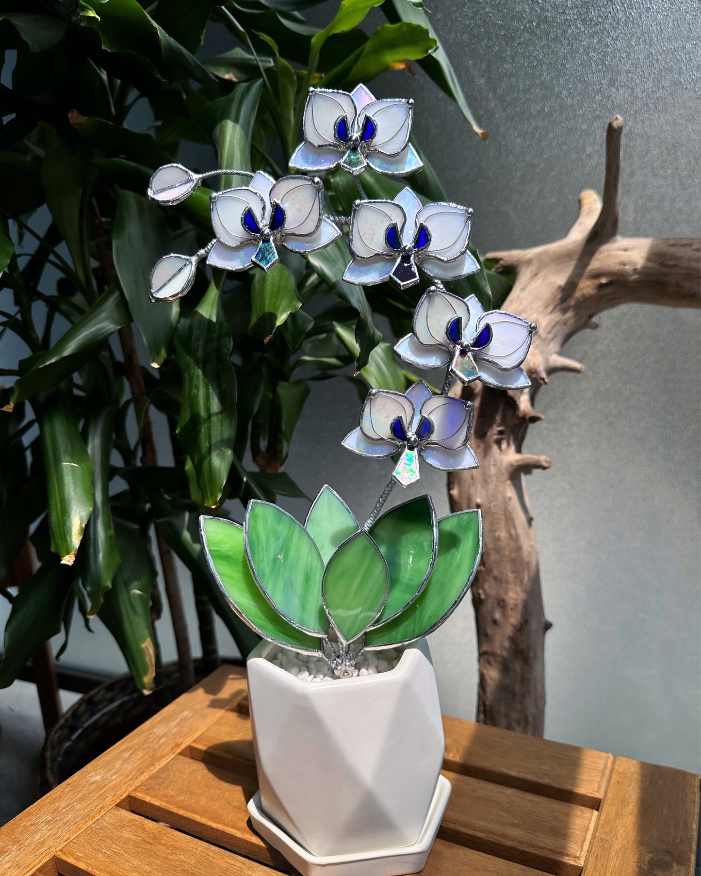 " . Orchid White Pearl iridescent 5 flowers with pot” Stained glass tropical flower 3D, Sun catcher, Table plant decor, Garden stick, Outdoor and gardening decor