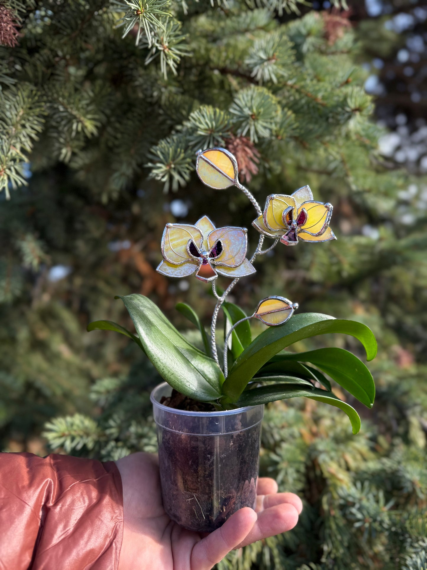 " . CHOOSE COLOR Orchid flower stick, Plant stake 2 flowers no pot” Stained glass tropical flower 3D, Sun catcher, Table plant, Garden stick, Outdoor and gardening decor