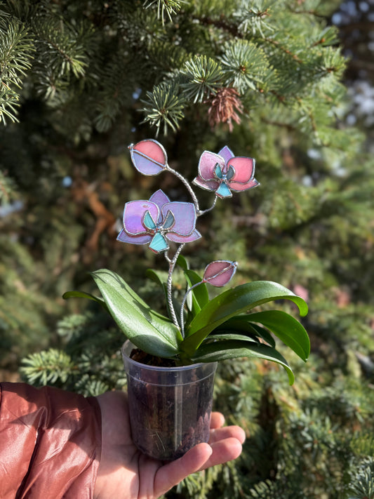" . CHOOSE COLOR Orchid flower stick, Plant stake 2 flowers no pot” Stained glass tropical flower 3D, Sun catcher, Table plant, Garden stick, Outdoor and gardening decor