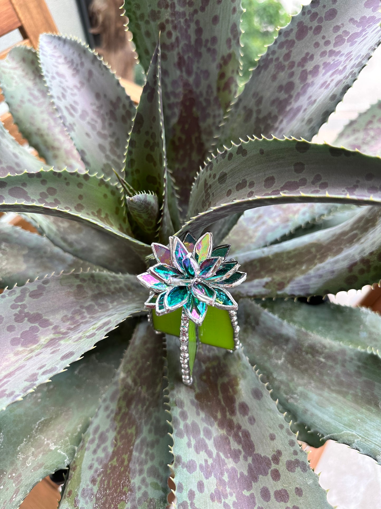 "Cactus Turquoise Iridescent", Stained glass Succulent 3D design, Mother’s Day gift, house plant for flower pot, Sun catcher, glass art