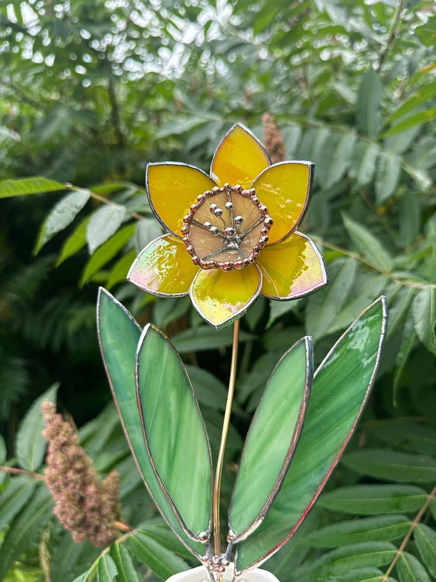 .Lemon Yellow Lumi Daffodil Flower Stained glass tropical flower new