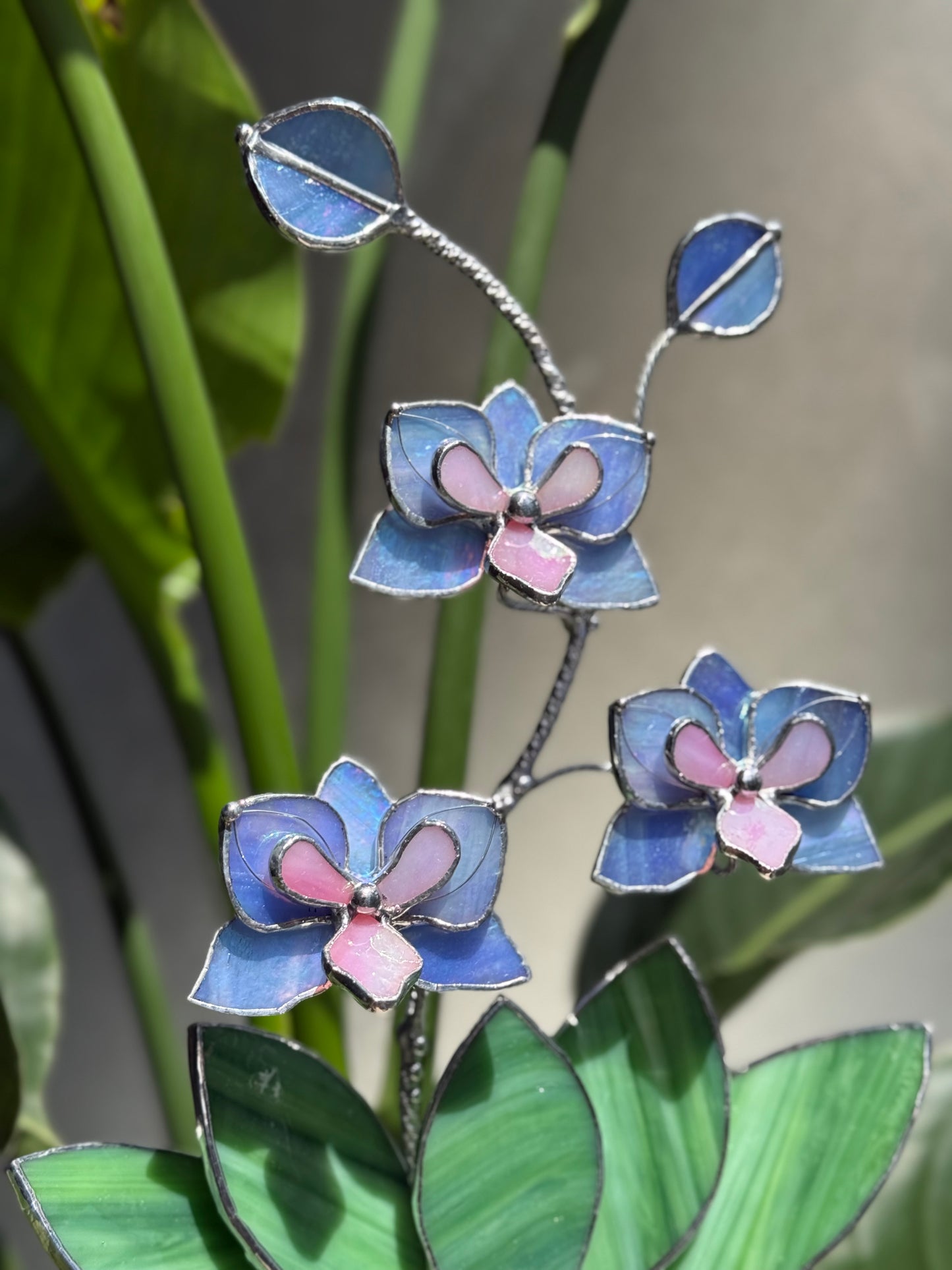 .Blue Lavender Orchid in a pot, 3 flowers Botanical Stained Glass Modern Art Decor new