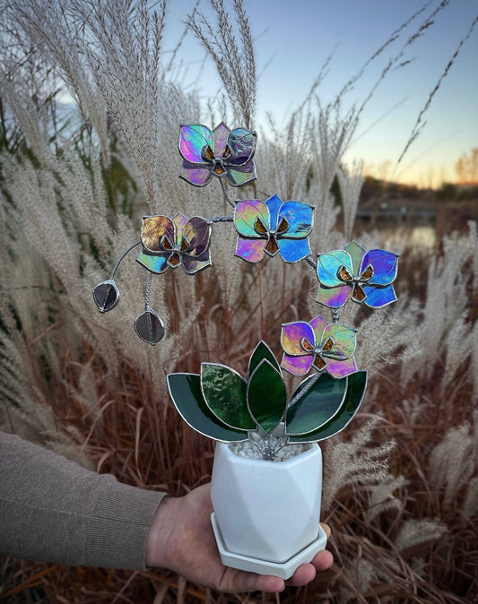 " . Butterfly Orchid Purple transparent iridescent, 5 flowers with pot”, Stained glass tropical flower 3D, Suncatcher, Table plant sale