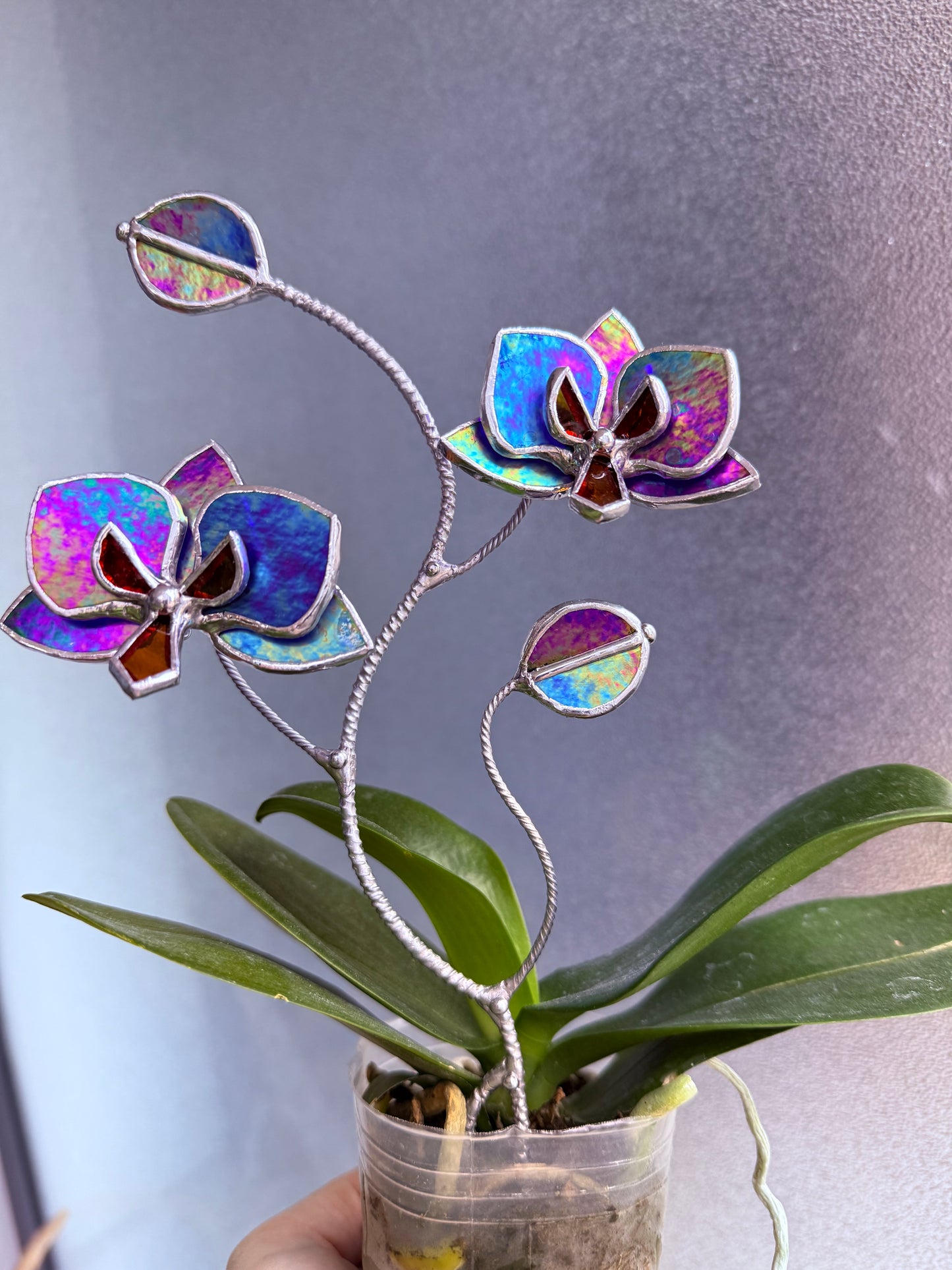 " . Indigo irid Orchid flower stick, Plant stake 2 flowers no pot” Stained glass tropical flower 3D, Sun catcher, Table plant, Garden stick, Outdoor and gardening decor