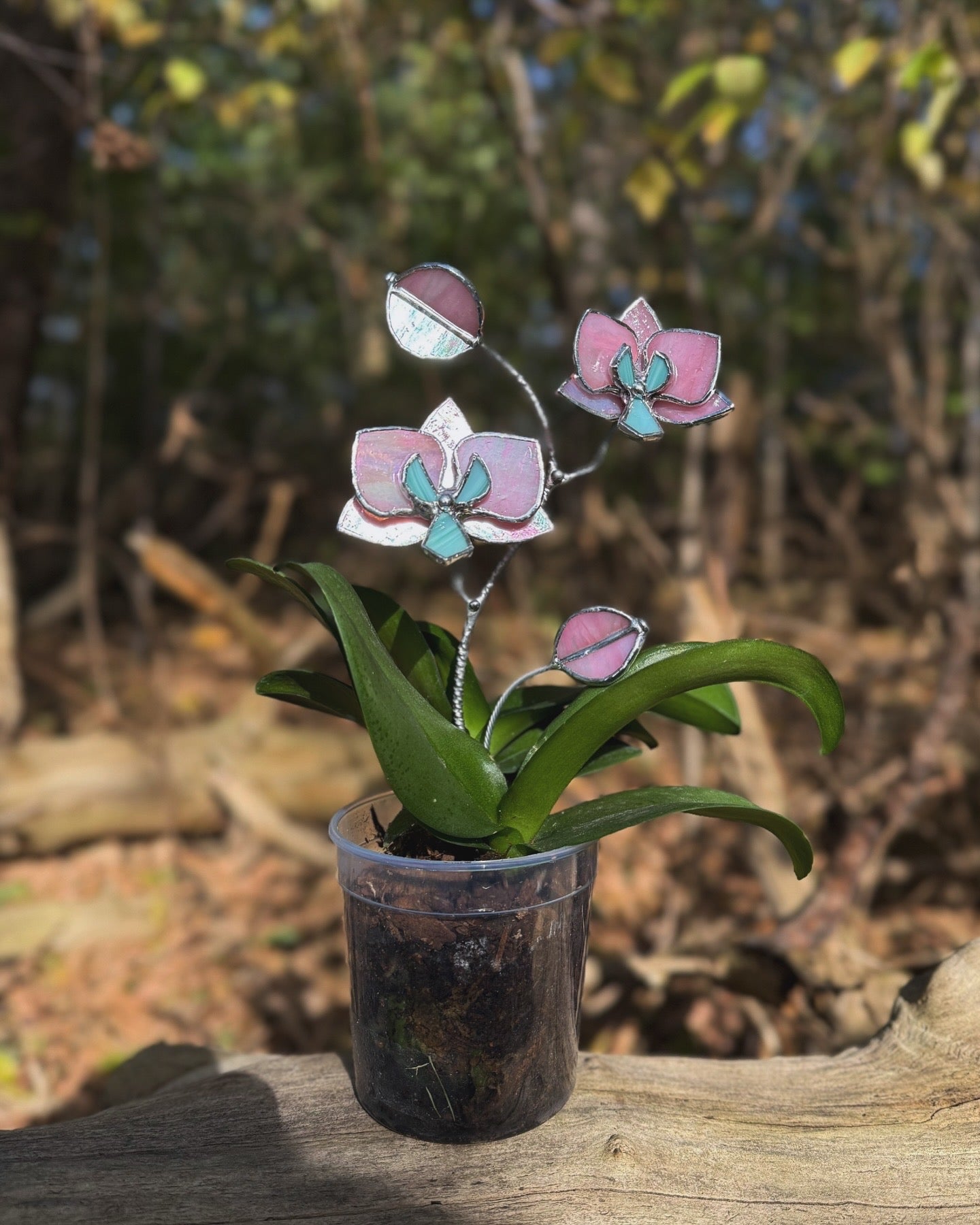 " . CHOOSE COLOR Orchid flower stick, Plant stake 2 flowers no pot” Stained glass tropical flower 3D, Sun catcher, Table plant, Garden stick, Outdoor and gardening decor