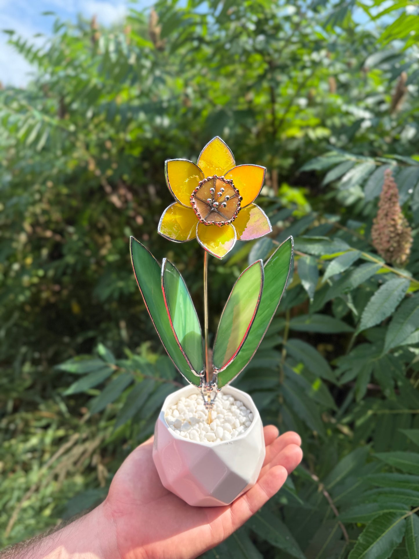 .Lemon Yellow Lumi Daffodil Flower Stained glass tropical flower new