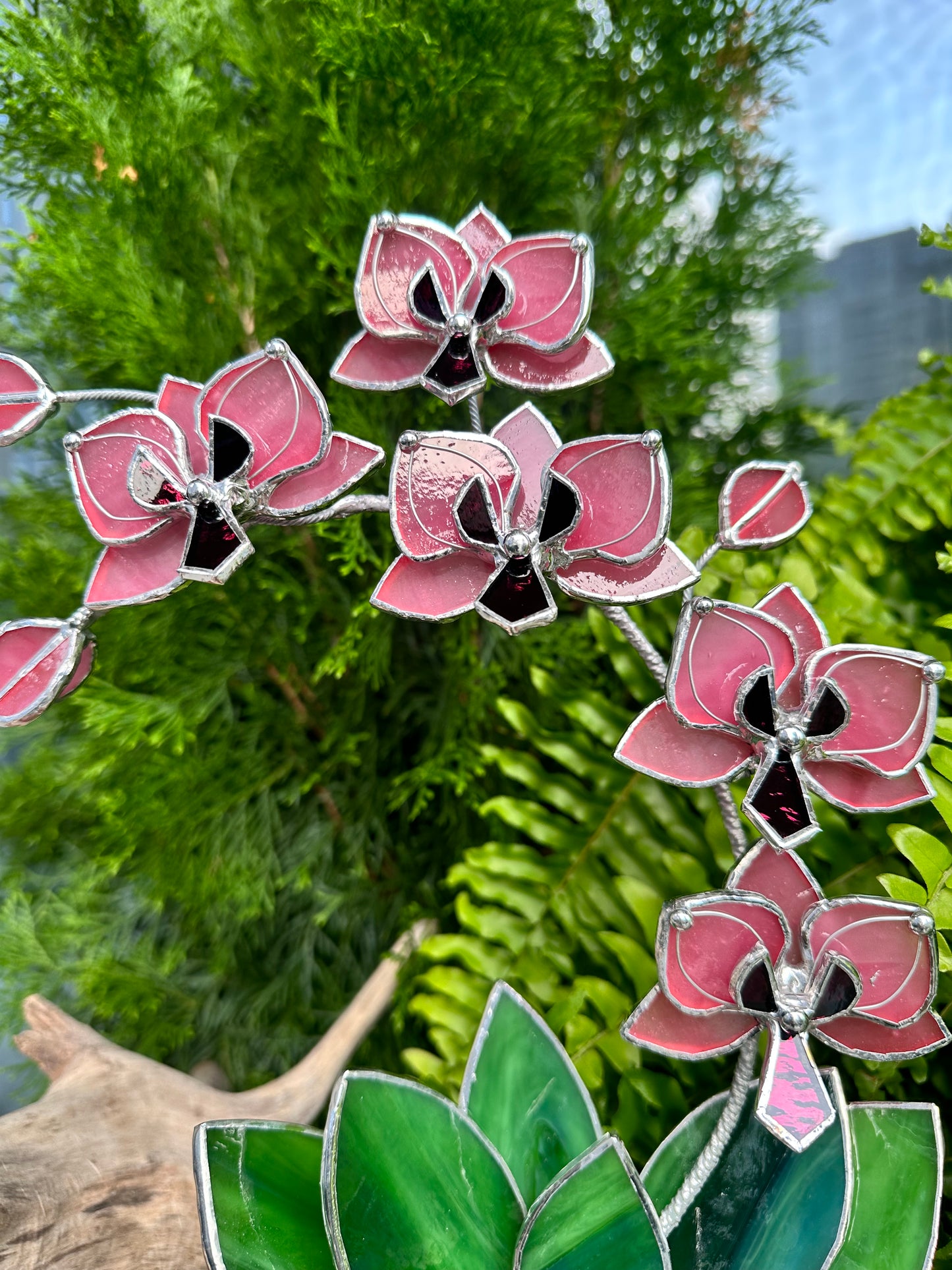 " .Baby Pink Orchid 5 flowers with pot" Stained glass tropical flower 3D, Sun catcher, Table plant, Garden stick, wedding decor, Christmas gift