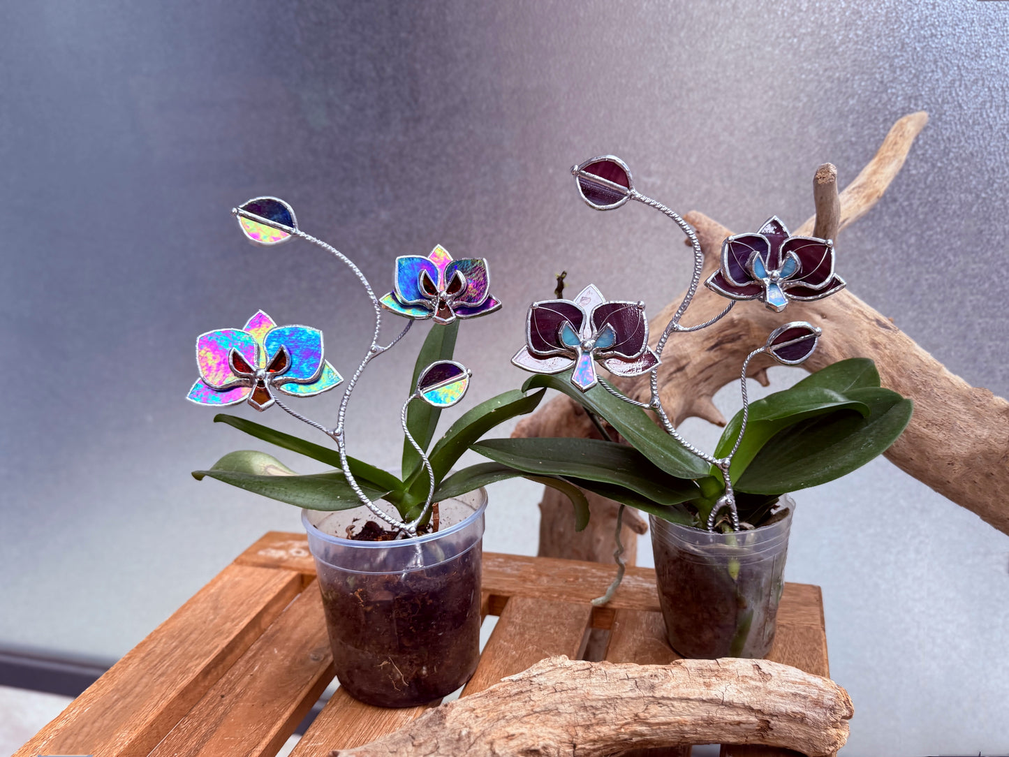" . Indigo irid Orchid flower stick, Plant stake 2 flowers no pot” Stained glass tropical flower 3D, Sun catcher, Table plant, Garden stick, Outdoor and gardening decor