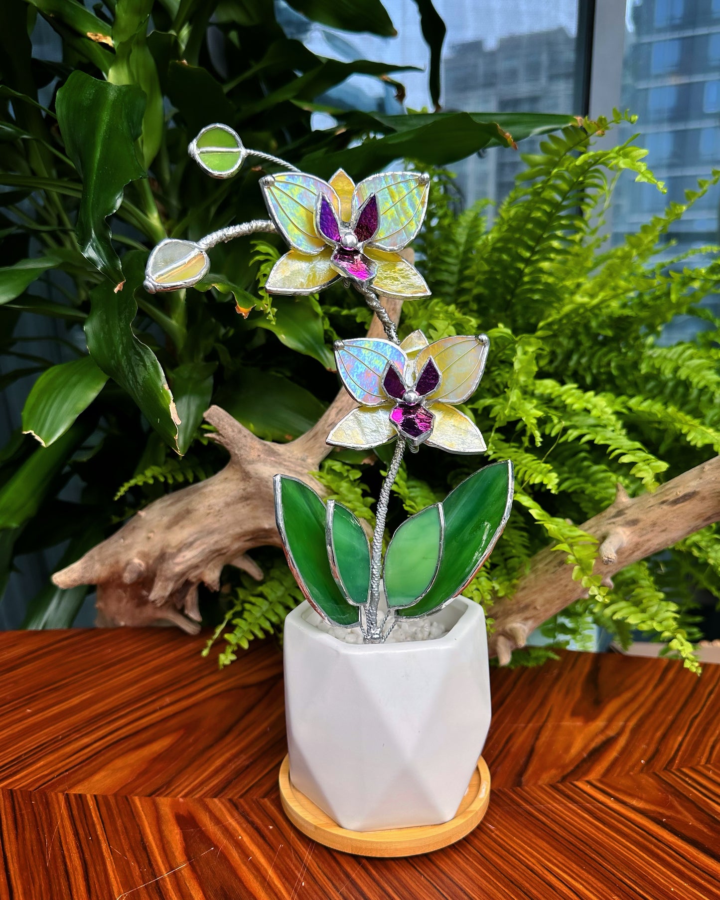 ". “Soulmates” Double stem Lemon yellow iridescent Orchid XL with pot, 5 flowers. Suncatcher, Tropical flowers, Outdoor and gardening decor, Christmas, Wedding gift