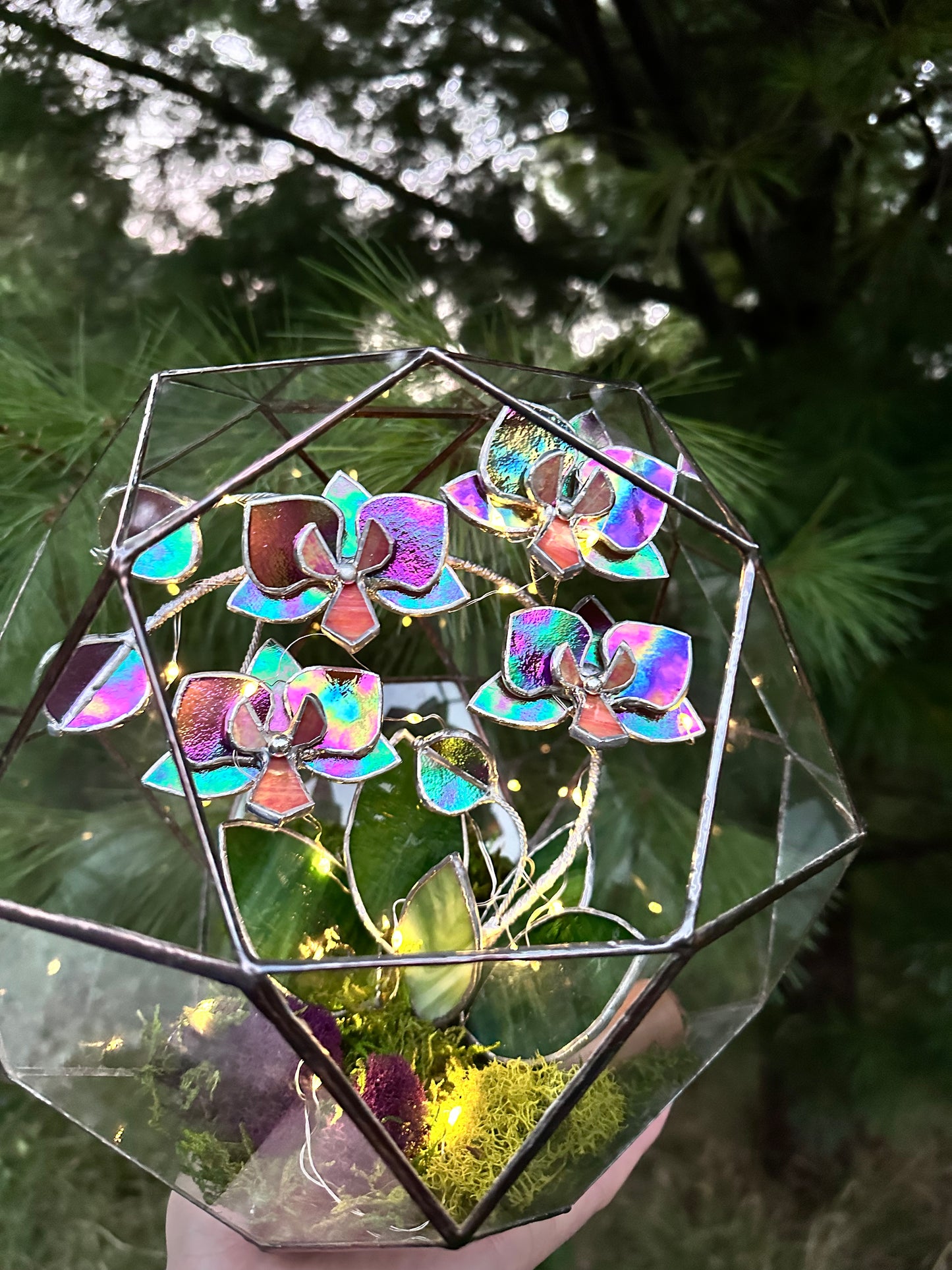 " . Geometric glass 3D terrarium Sphere with stained glass iridescent orchid. Wedding glass decor, Mother’s Day  gift, glass art, suncatcher, succulents, cacti