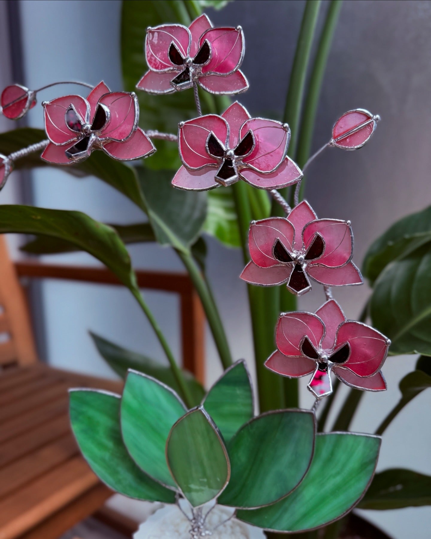 Baby Pink Orchid 5 Flowers, Handmade Stained Glass Botanical Art Decor