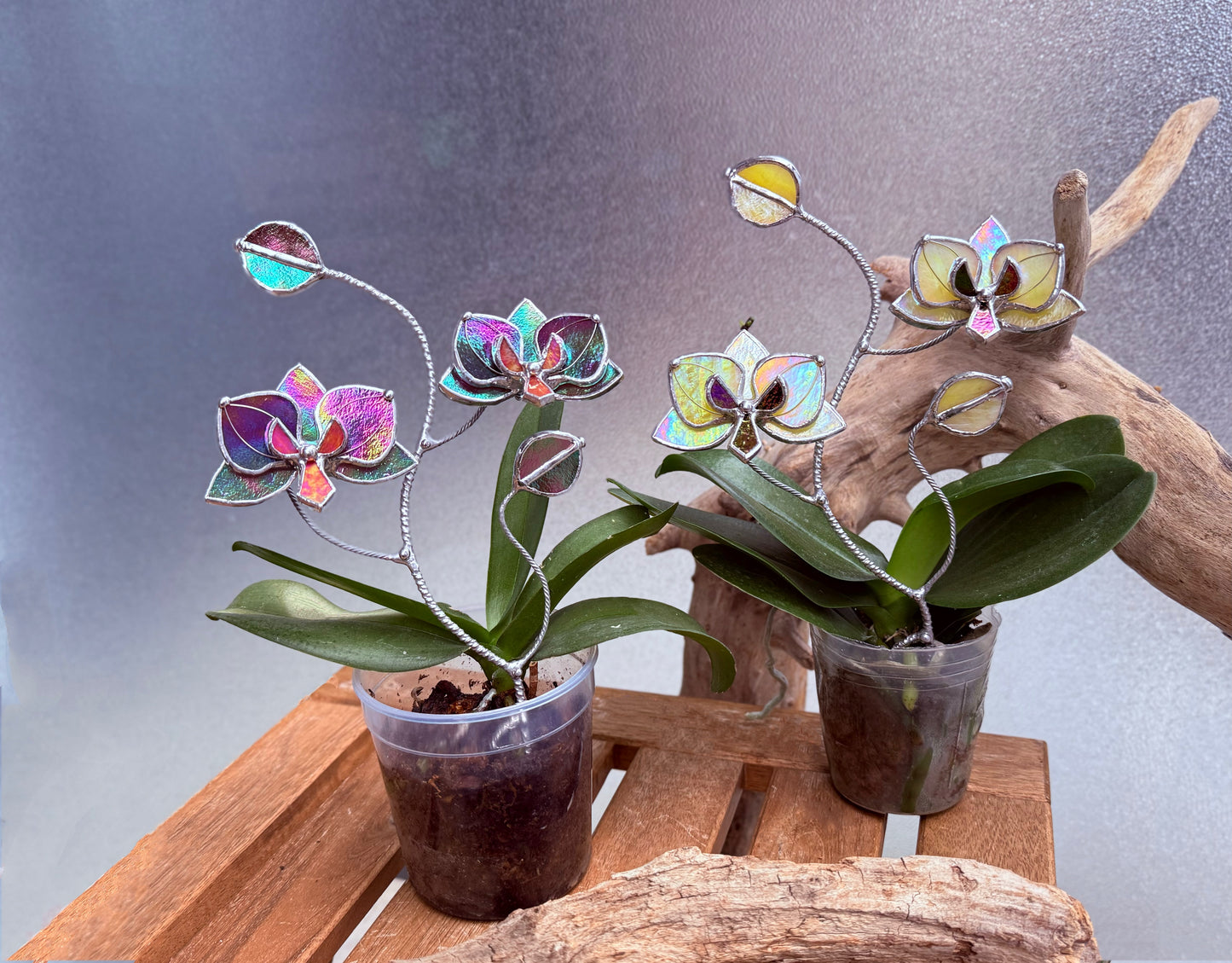 " . CHOOSE COLOR Orchid flower stick, Plant stake 2 flowers no pot” Stained glass tropical flower 3D, Sun catcher, Table plant, Garden stick, Outdoor and gardening decor