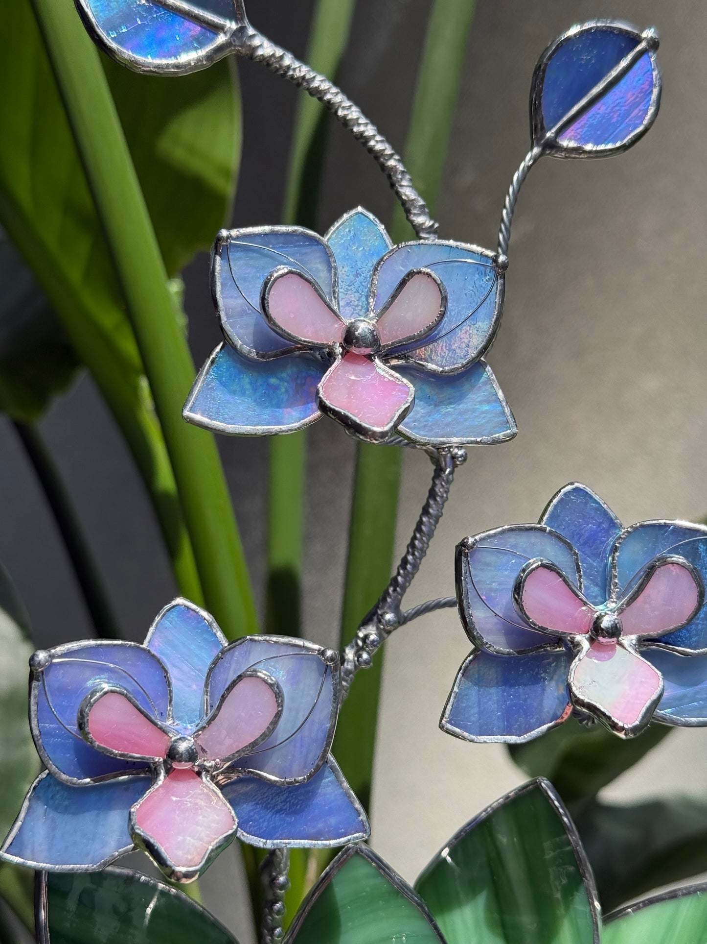 .Blue Lavender Orchid in a pot, 3 flowers Botanical Stained Glass Modern Art Decor new