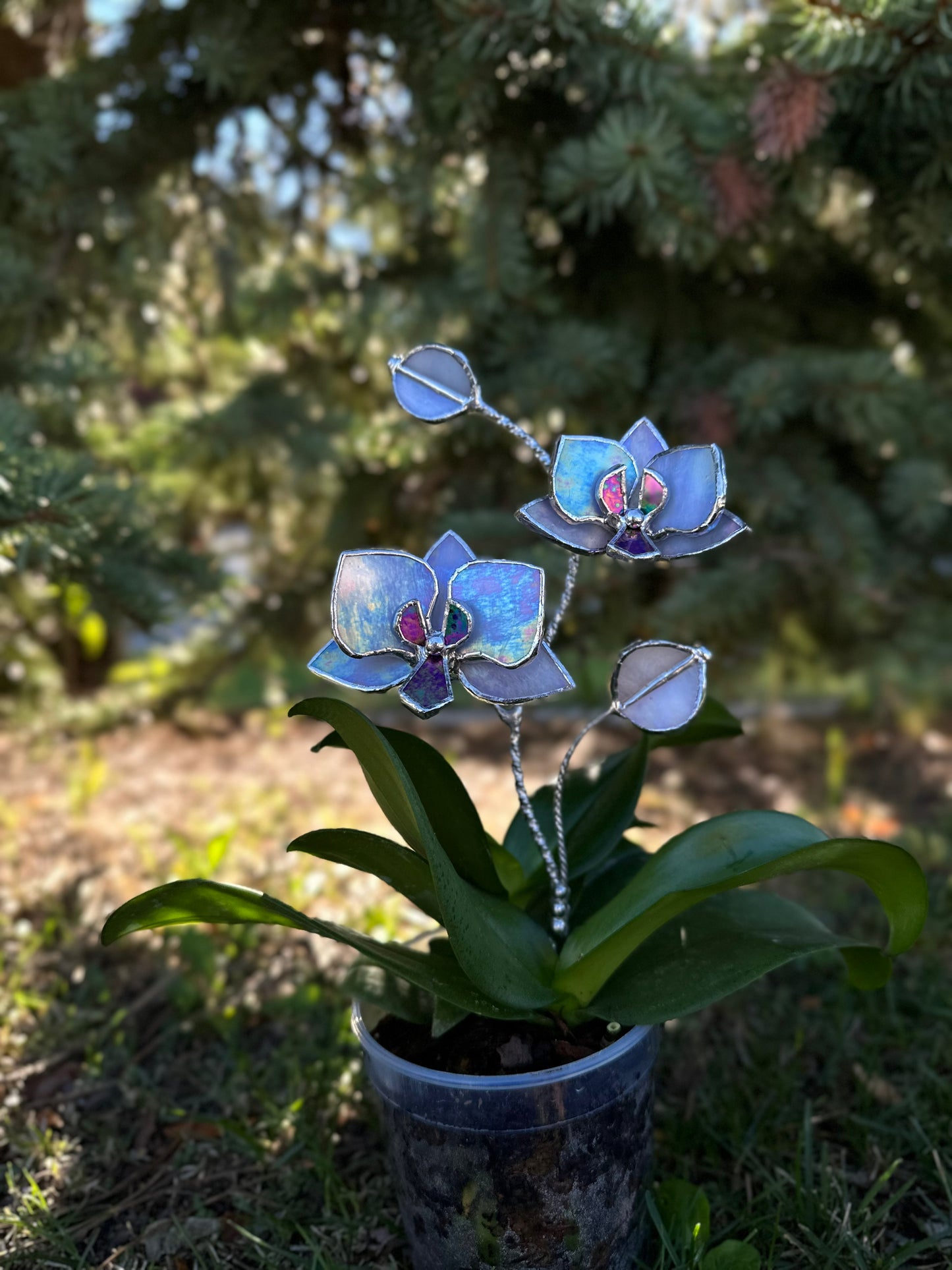 " . Lavender iridescent Orchid flower stick, Plant stake 2 flowers no pot” Stained glass tropical flower 3D, Sun catcher, Table plant, Garden stick, Outdoor and gardening decor