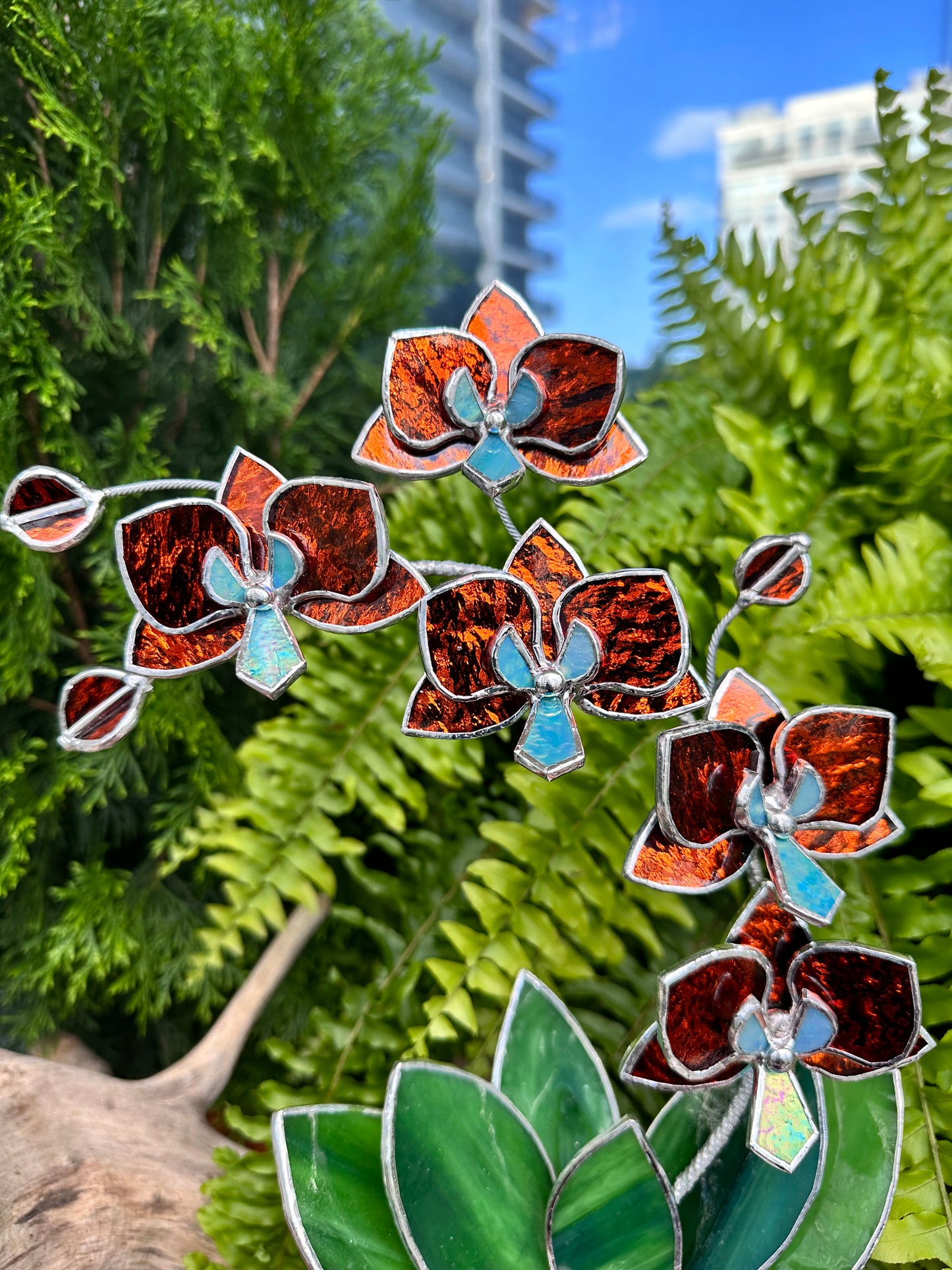 ". Amber silvercoat Orchid 5 flowers with pot" Stained glass tropical flower 3D, Sun catcher, Table plant, Garden stick, wedding decor, Christmas gift