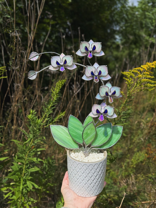 " .  Orchid White Pearl iridescent 5 flowers with pot” Stained glass tropical flower 3D, Sun catcher, Table plant decor, Garden stick, Outdoor and gardening decor