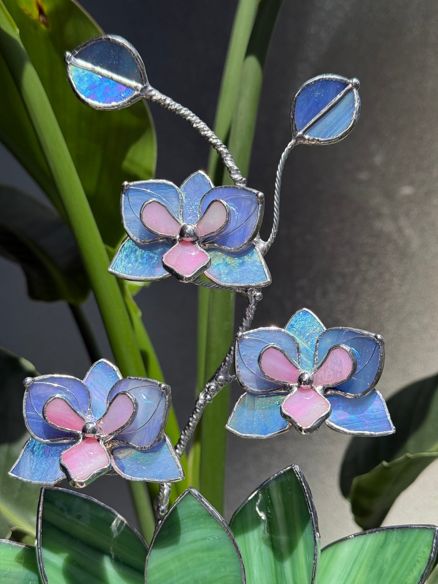 .Blue Lavender Orchid in a pot, 3 flowers Botanical Stained Glass Modern Art Decor new