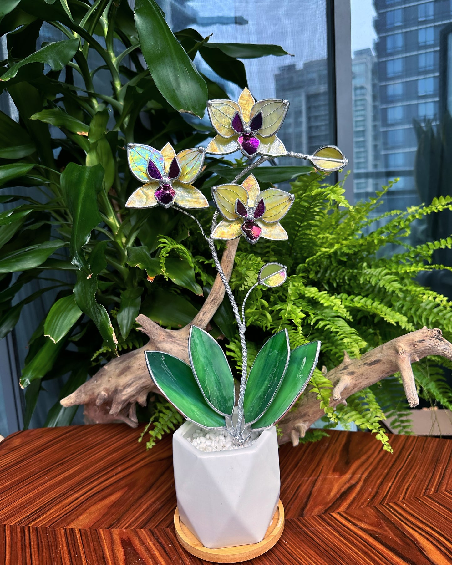 ". “Soulmates” Double stem Lemon yellow iridescent Orchid XL with pot, 5 flowers. Suncatcher, Tropical flowers, Outdoor and gardening decor, Christmas, Wedding gift