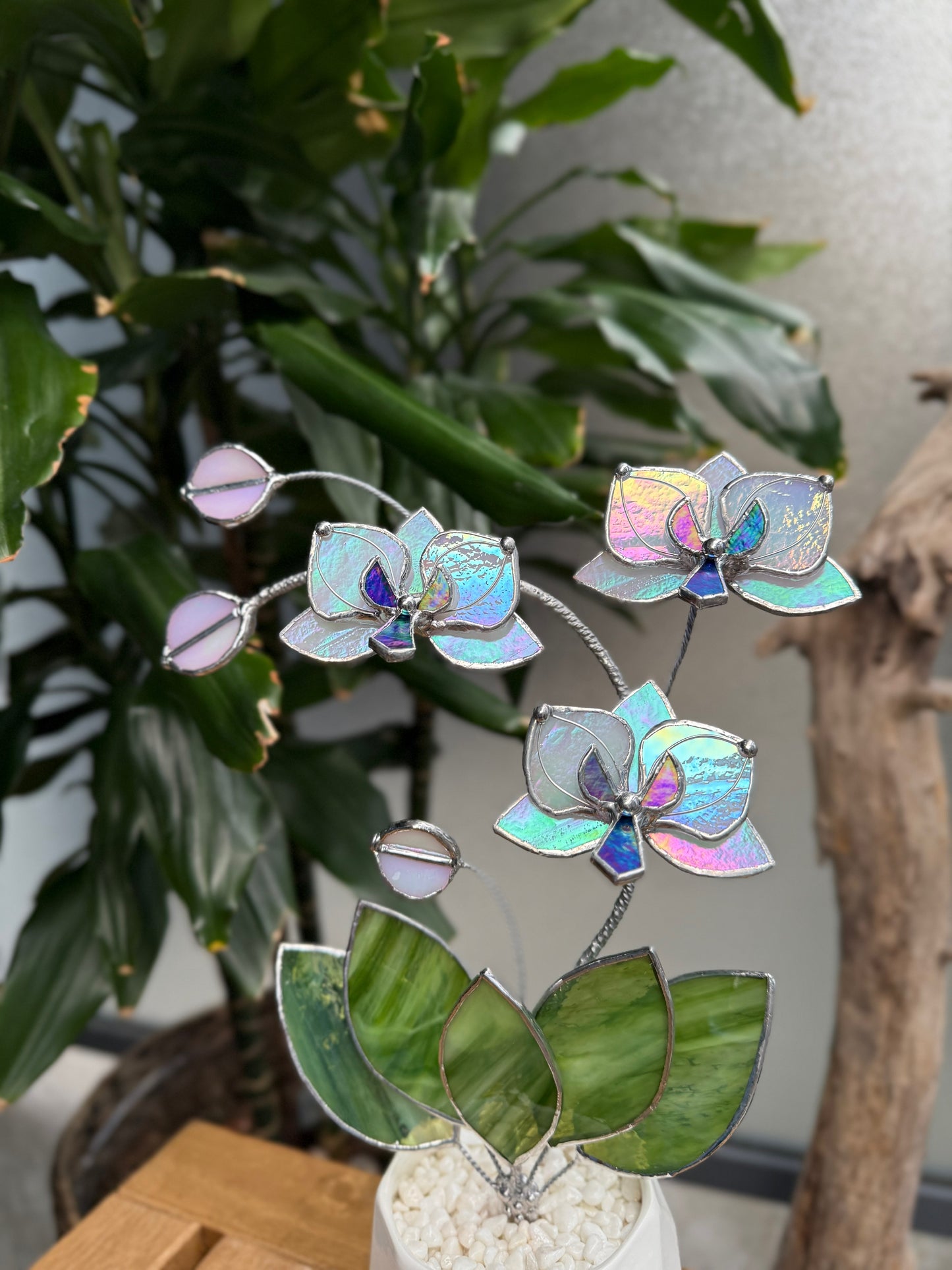 " . Orchid White luminescent, 3 flowers with pot” Stained glass tropical flower 3D, Suncatcher, Table plant decor