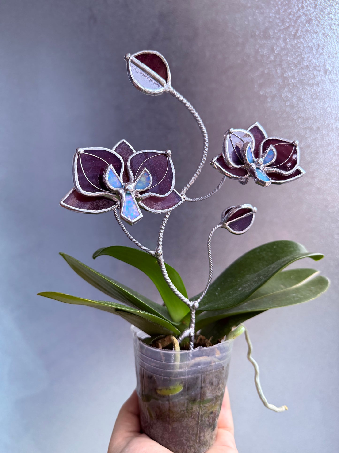 " . Elderberry purple Orchid flower stick, Plant stake 2 flowers no pot” Stained glass tropical flower 3D, Sun catcher, Table plant, Garden stick, Outdoor and gardening decor (Copy)