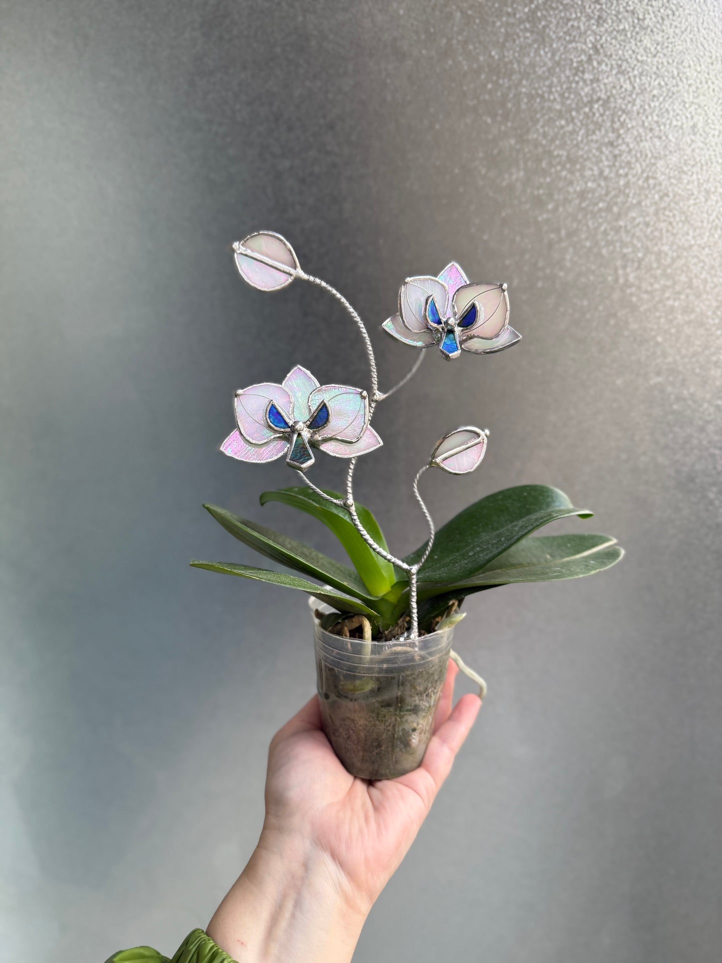 " . Orchid White pearl iridescent flower stick, Plant stake 2 flowers no pot” Stained glass tropical flower 3D, Sun catcher, Table plant, Garden stick, Outdoor and gardening decor