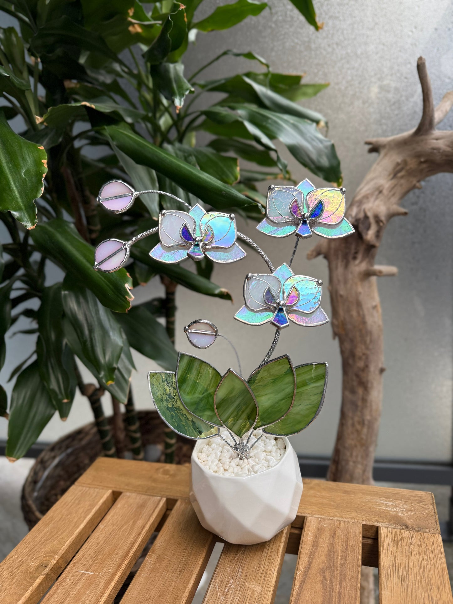 " . Orchid White luminescent, 3 flowers with pot” Stained glass tropical flower 3D, Suncatcher, Table plant decor