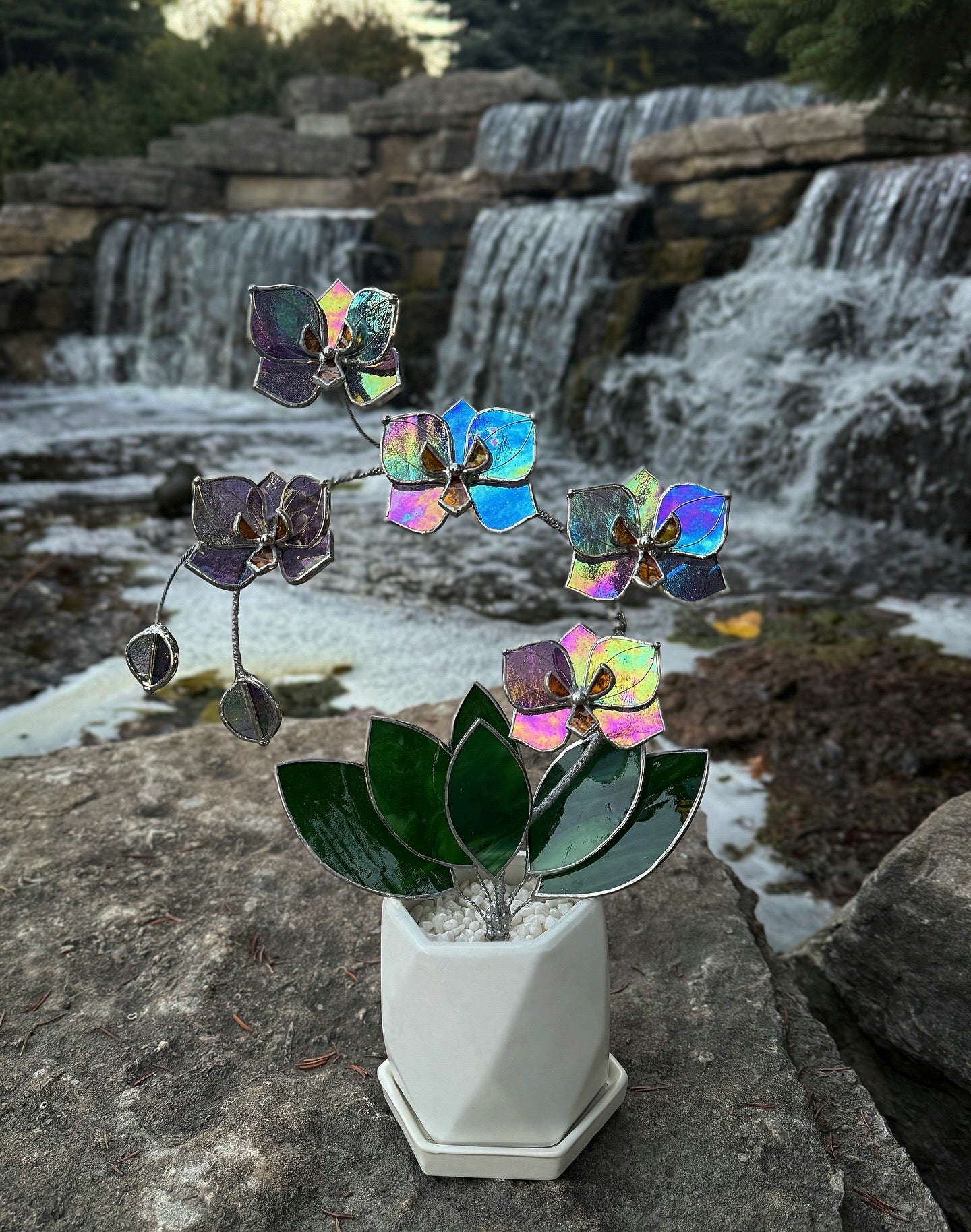 " . Butterfly Orchid Purple transparent iridescent, 5 flowers with pot”, Stained glass tropical flower 3D, Suncatcher, Table plant sale