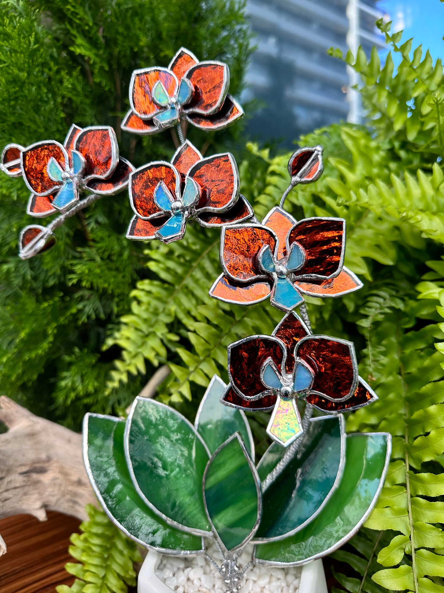 ". Amber silvercoat Orchid 5 flowers with pot" Stained glass tropical flower 3D, Sun catcher, Table plant, Garden stick, wedding decor, Christmas gift