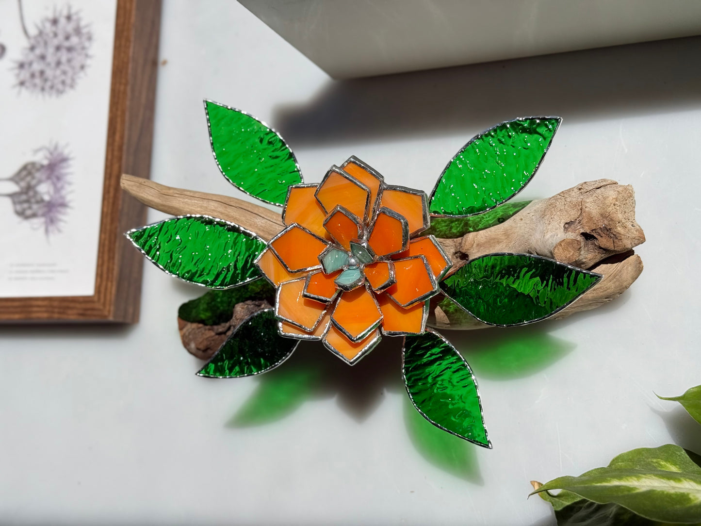 .Tropical flower Stained Glass Driftwood Wall Decor Suncatcher